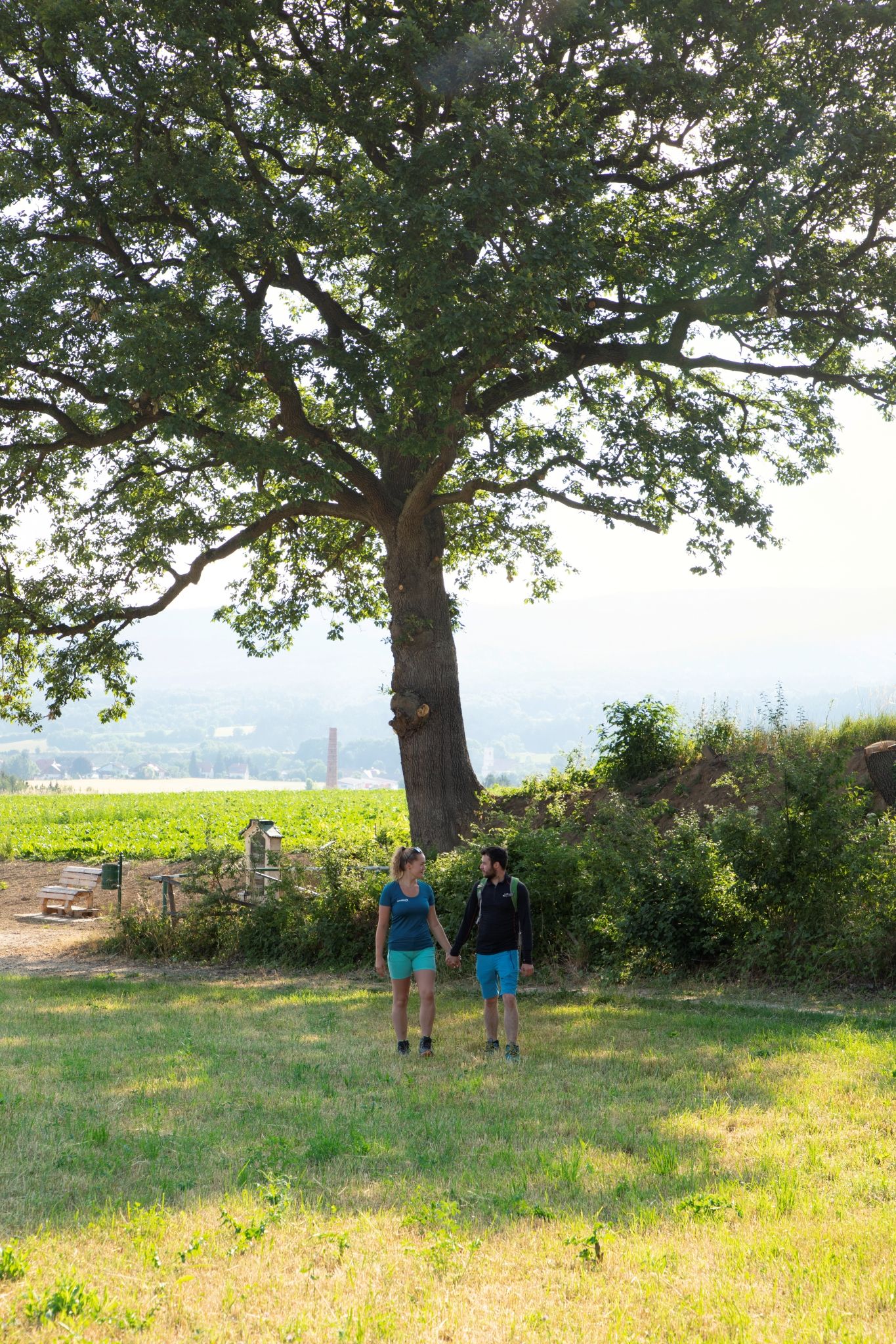 A couple walks in a meadow under a large tree in a rural setting.