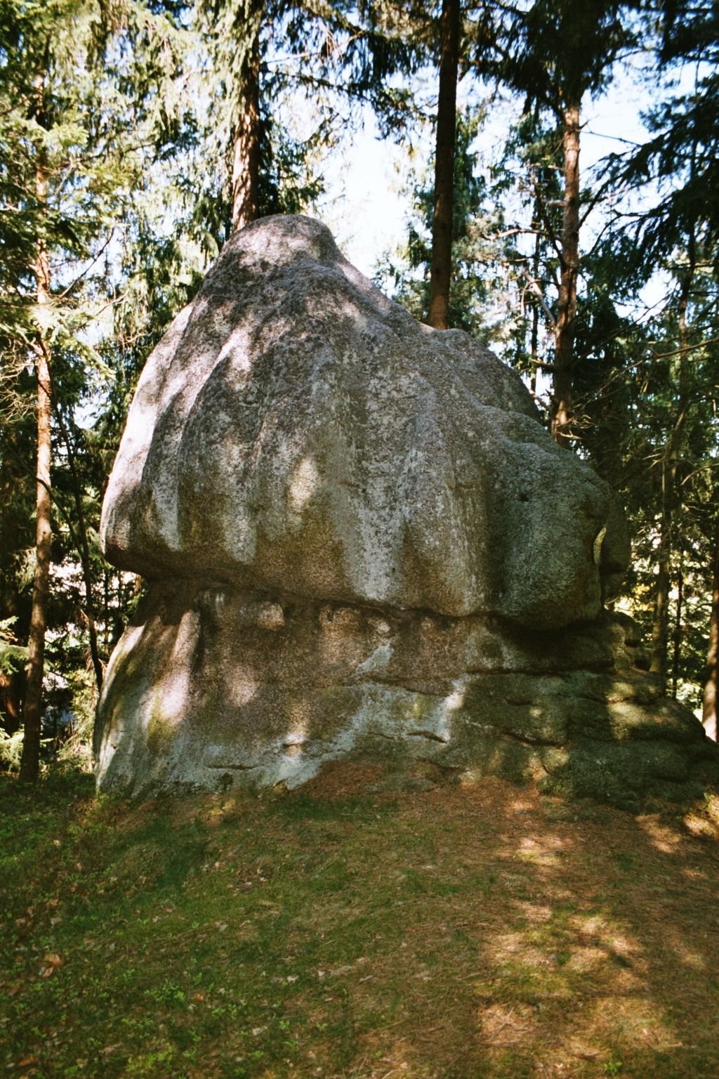 A large, round rock in the forest, surrounded by trees.