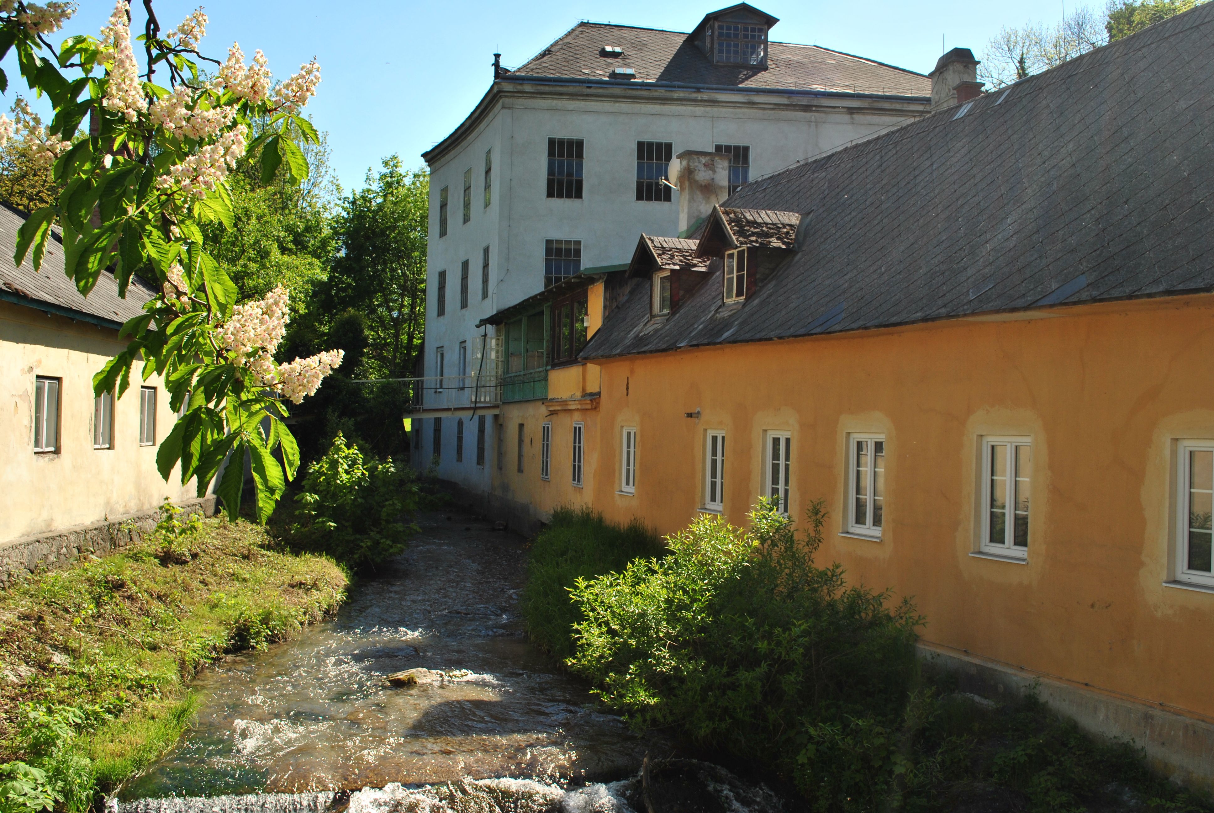 Historic building with stream and blossoming tree in the foreground.