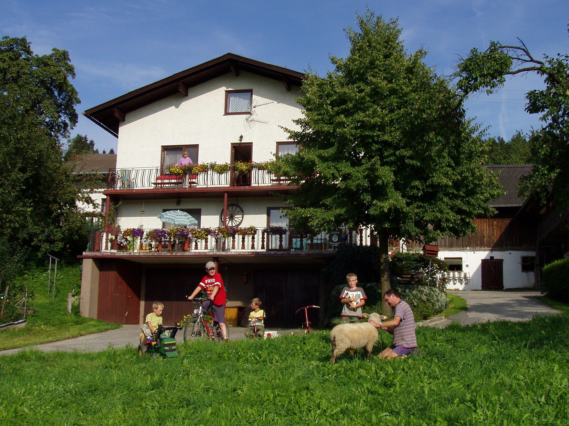 Vacation on the farm Waira