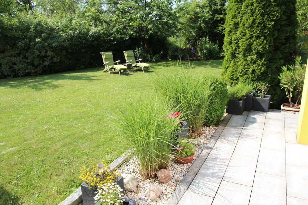 Garden with lawn, sun loungers and planted border.
