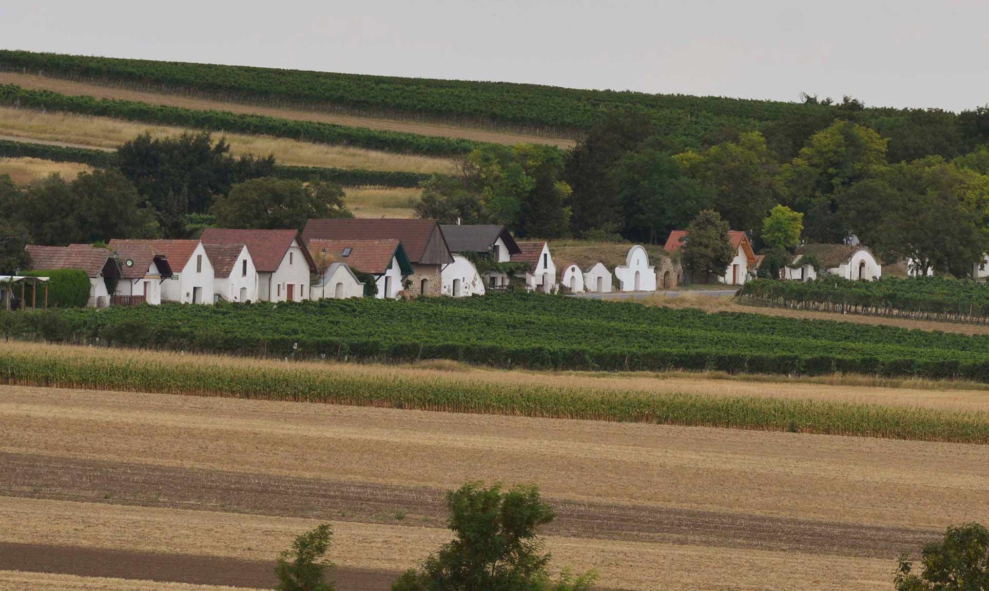 Prellenkirchen wine cellar lane, Römerland Carnuntum