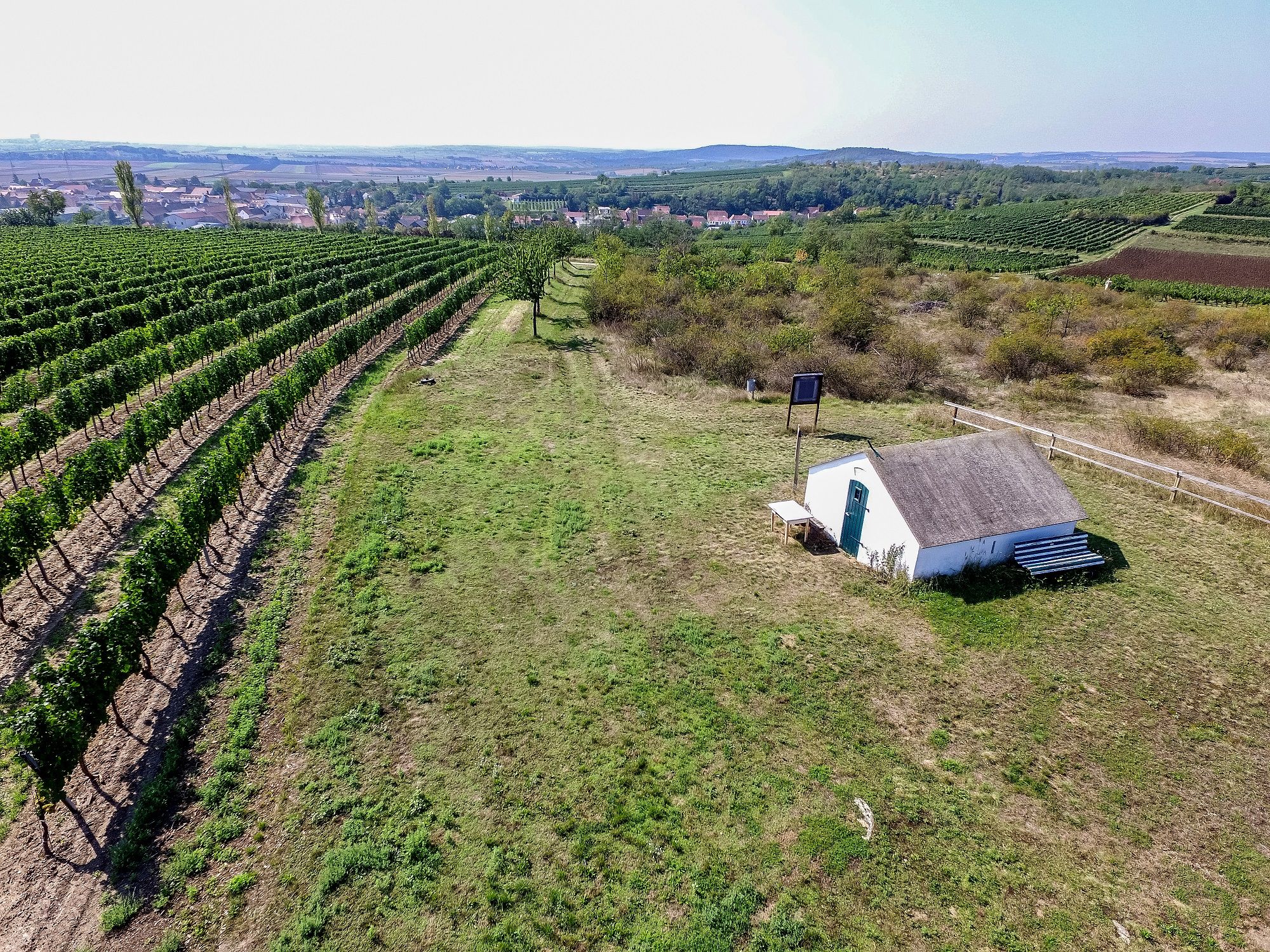 Aerial view of a small hut next to vines in Röschitz, surrounded by green countryside and a village in the background.