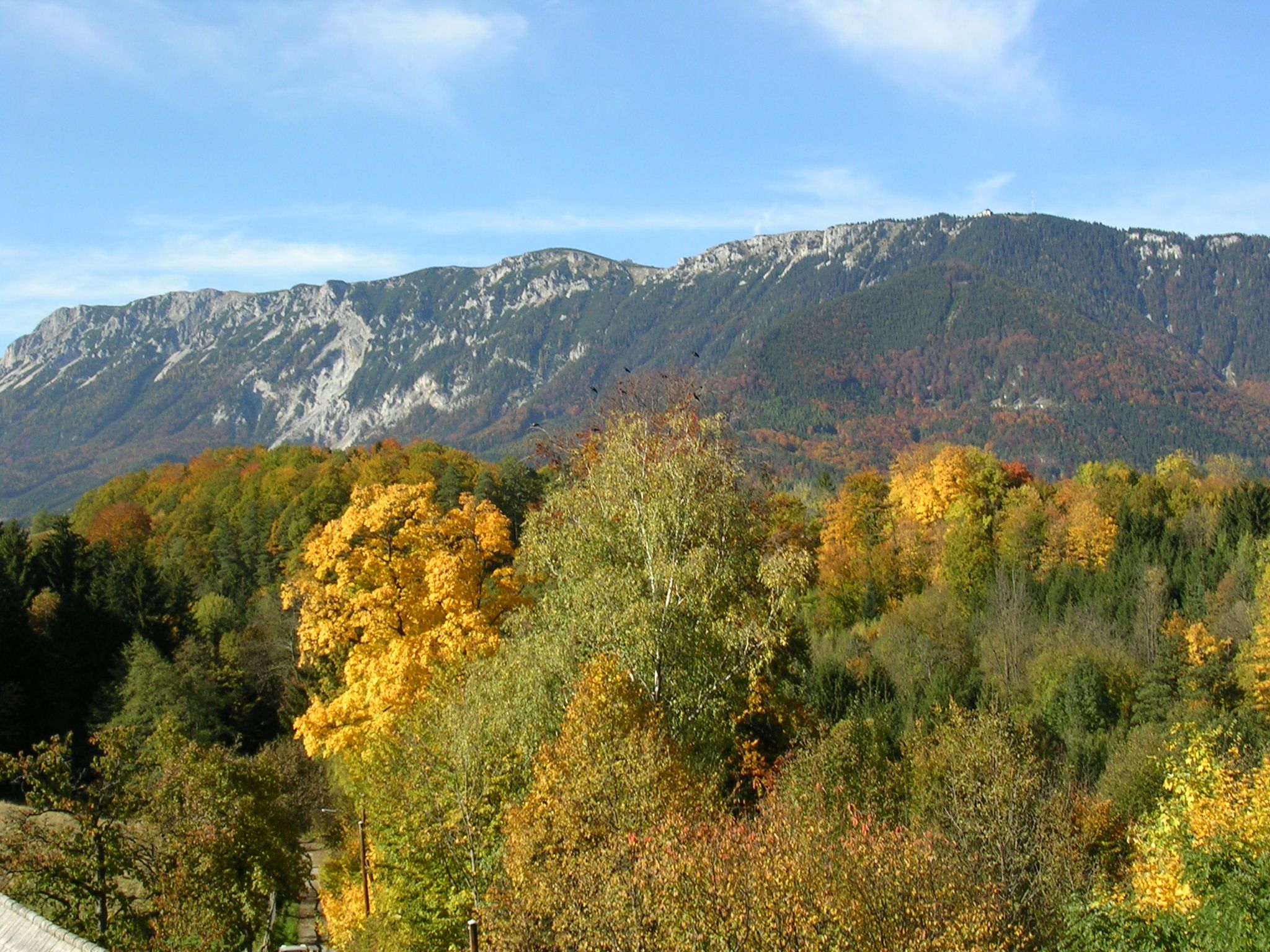 Autumn landscape with colorful trees and mountains in the background.