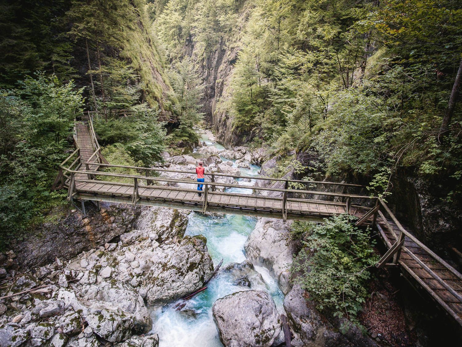 Emergency gorge