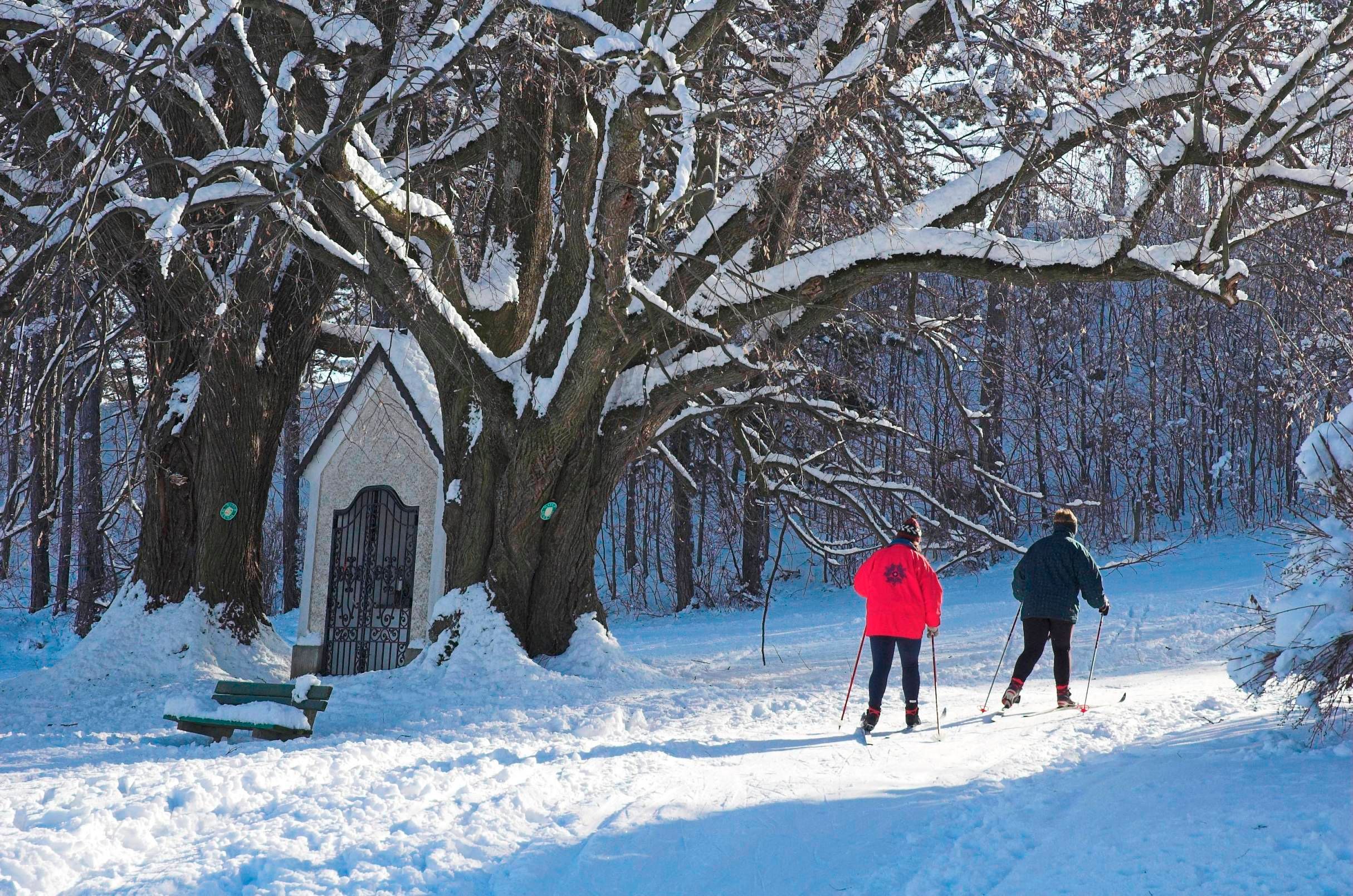 Two cross-country skiers on a snow-covered trail next to a chapel and large trees.