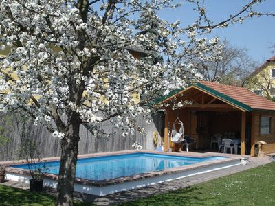 A blossoming tree next to a pool and a garden shed.