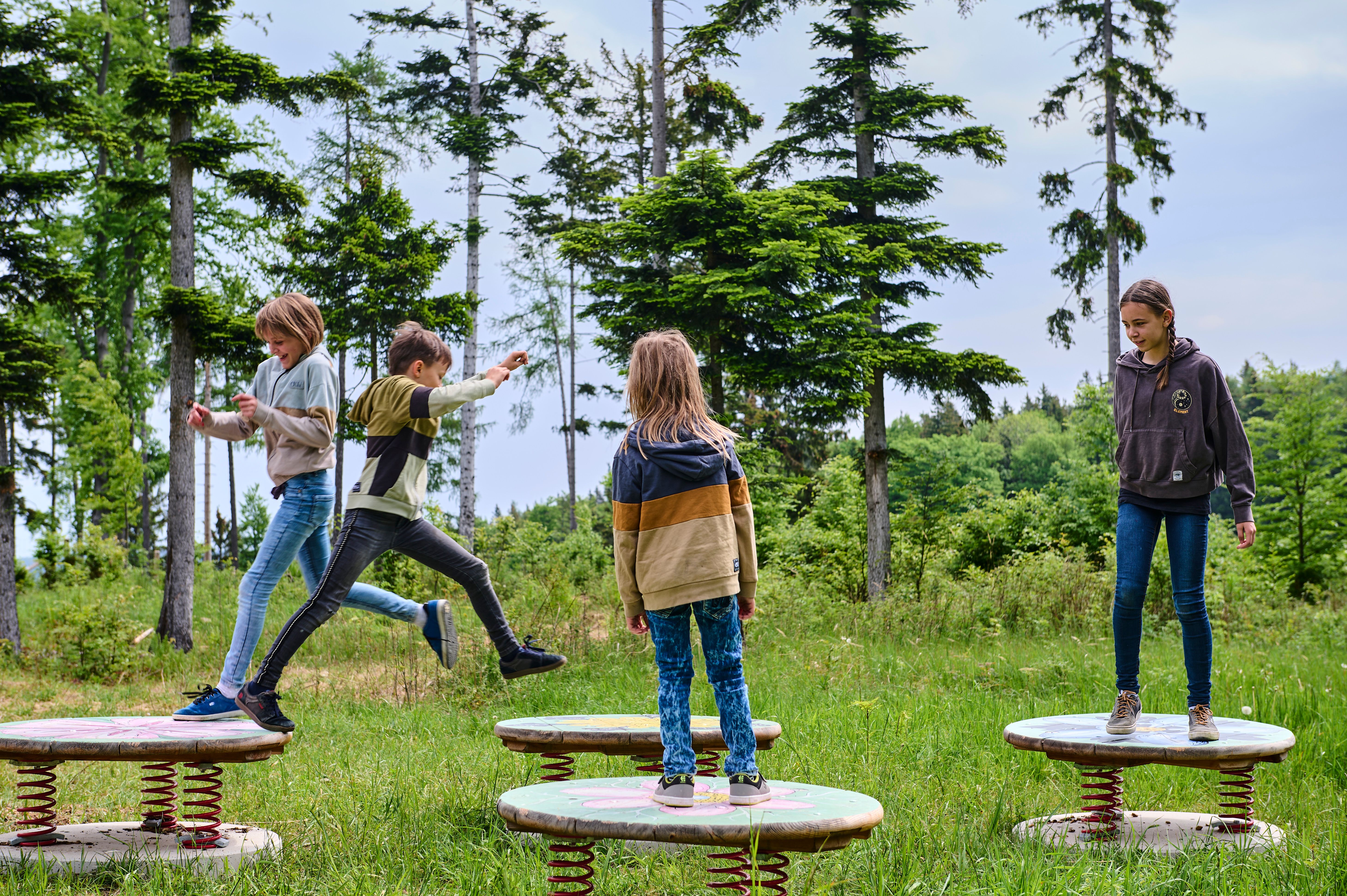Children playing on jumping platforms in the forest.