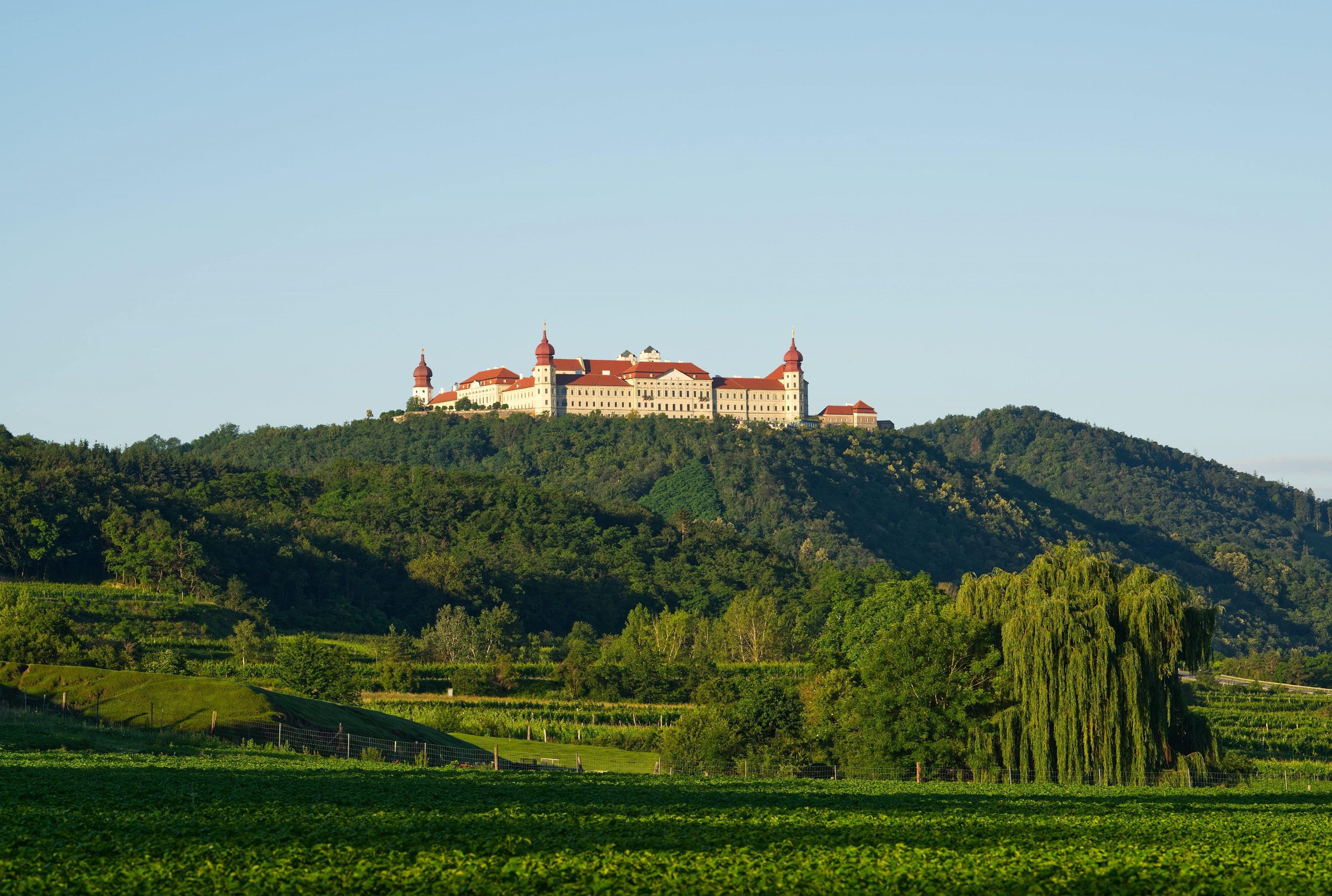 Göttweig Benedictine Abbey on a hill with a green landscape in the foreground.