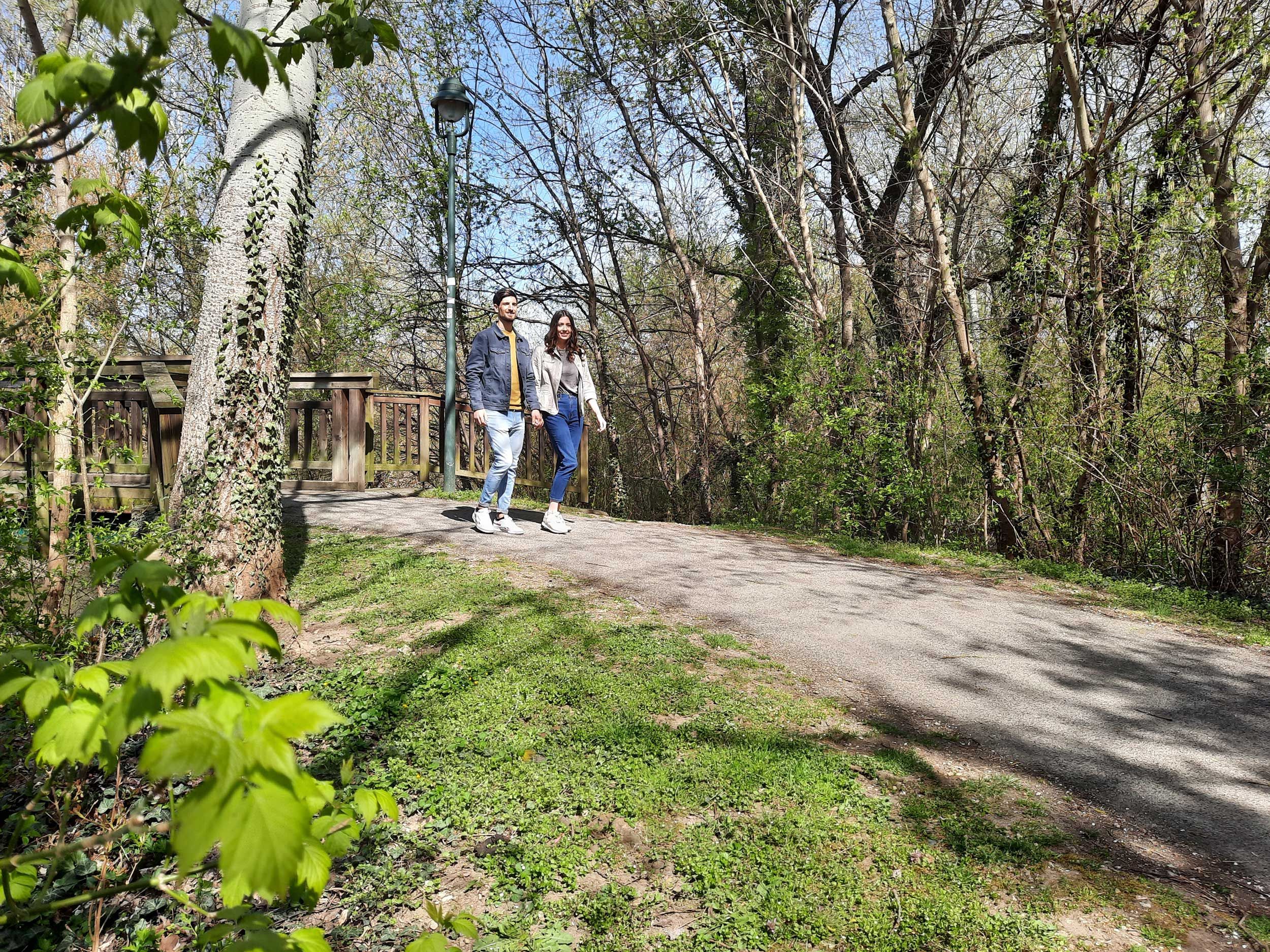 A couple walks along a path in a wooded park.