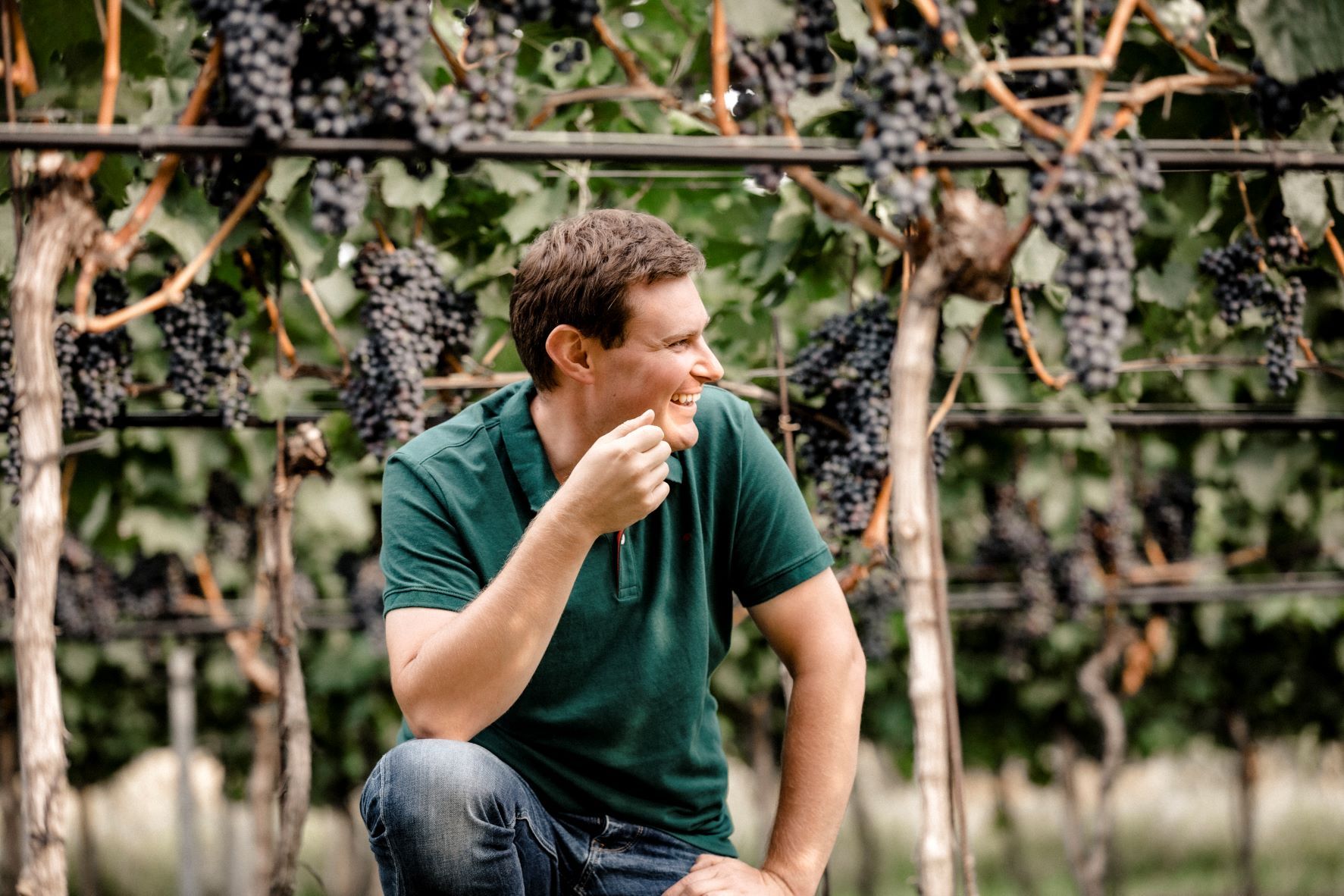 Man in a vineyard, surrounded by grapes, smiling and looking to the side.