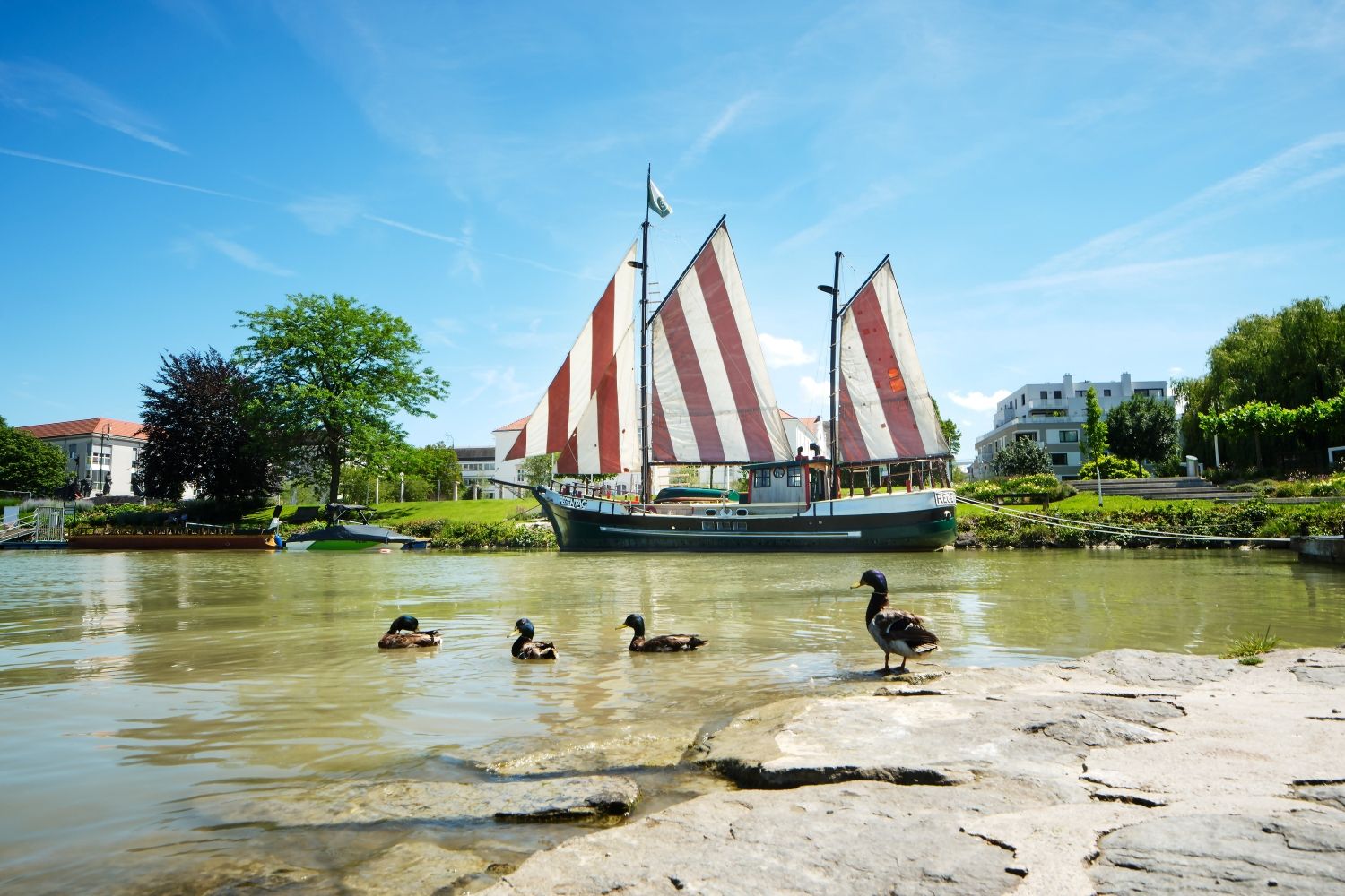 A Hundertwasser ship with red-and-white-striped sails. In the foreground, ducks in the water; in the background, the garden city of Tulln.