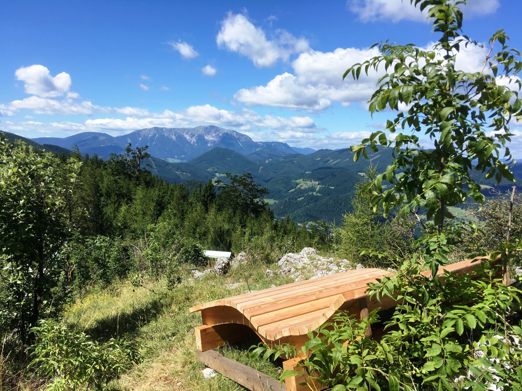 Wooden bench with mountain view and trees in the foreground.