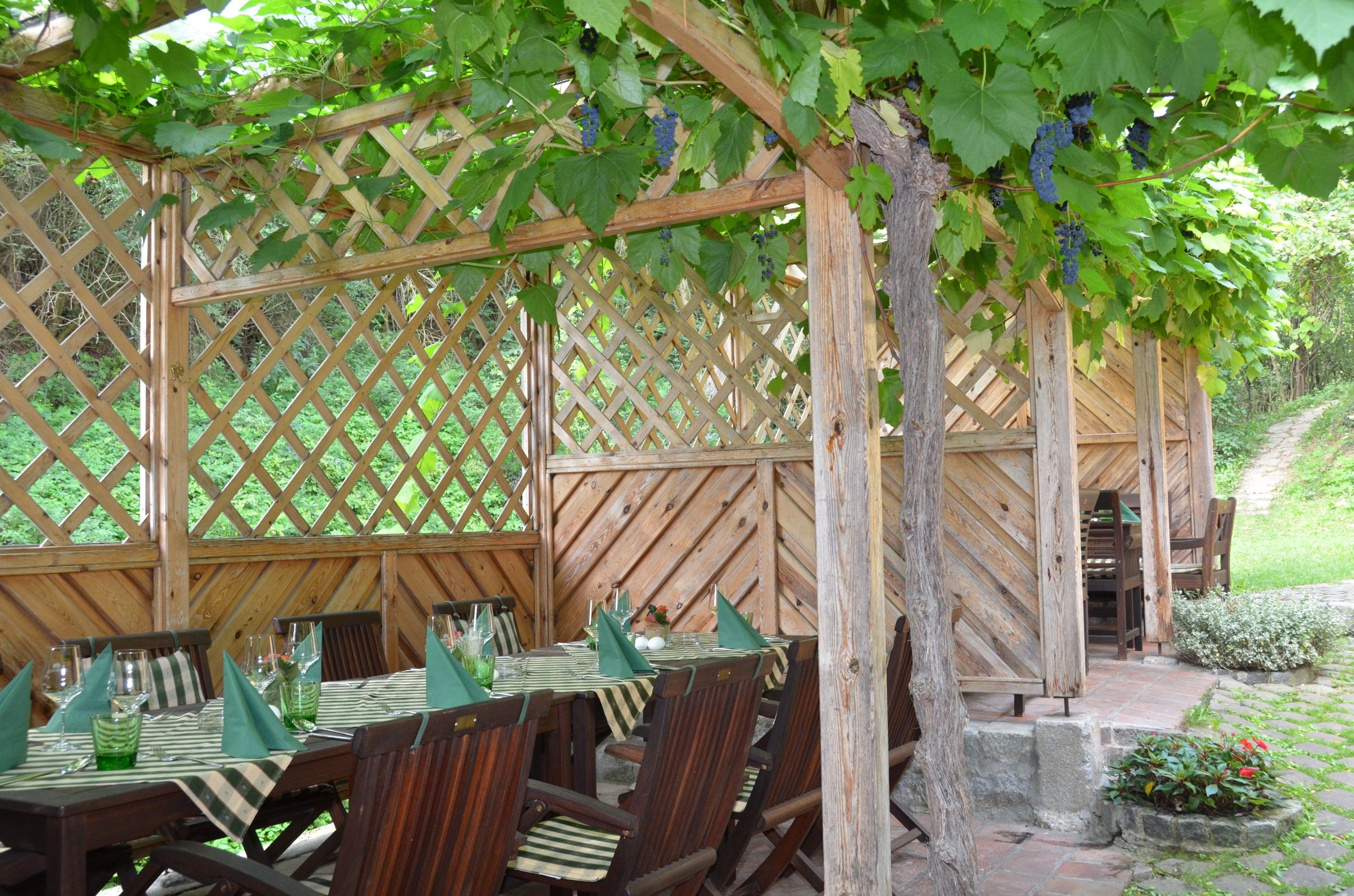A guest garden with wooden tables and chairs, covered by a pergola with vines.