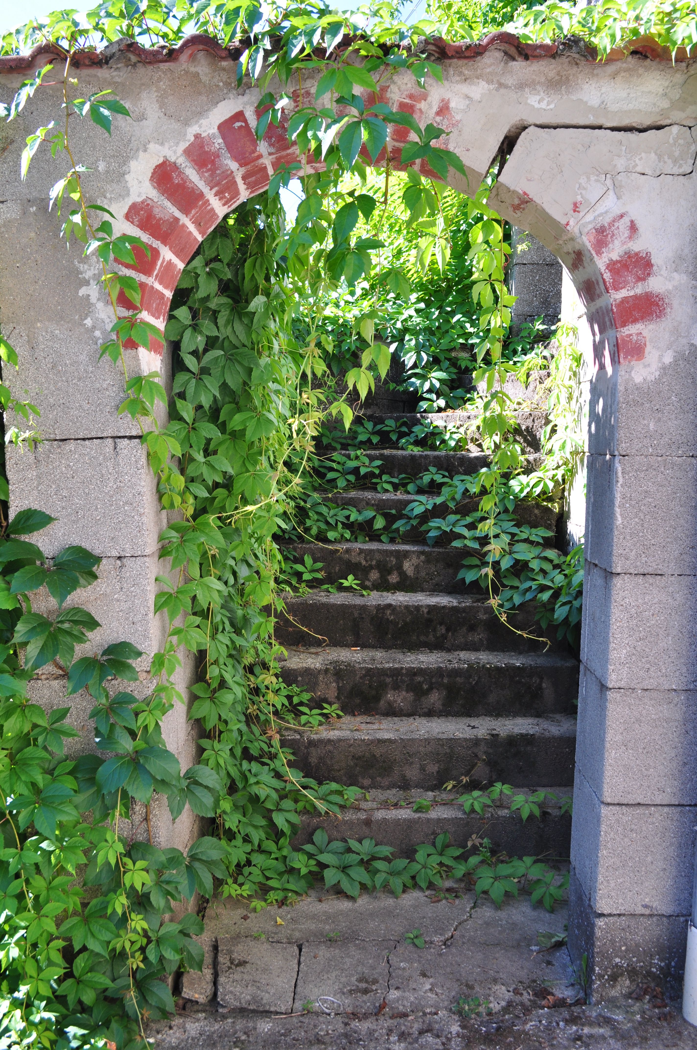 A plant-covered staircase through a brick archway.