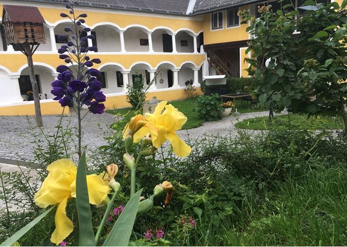 Winery Arkadenhof