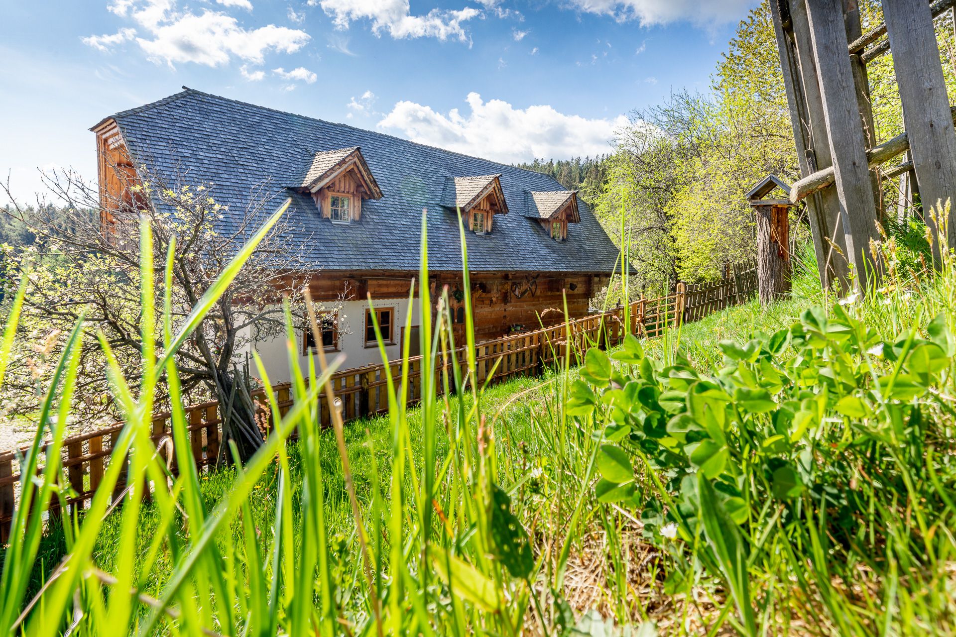 Traditional house with wooden fence surrounded by trees and a green meadow.