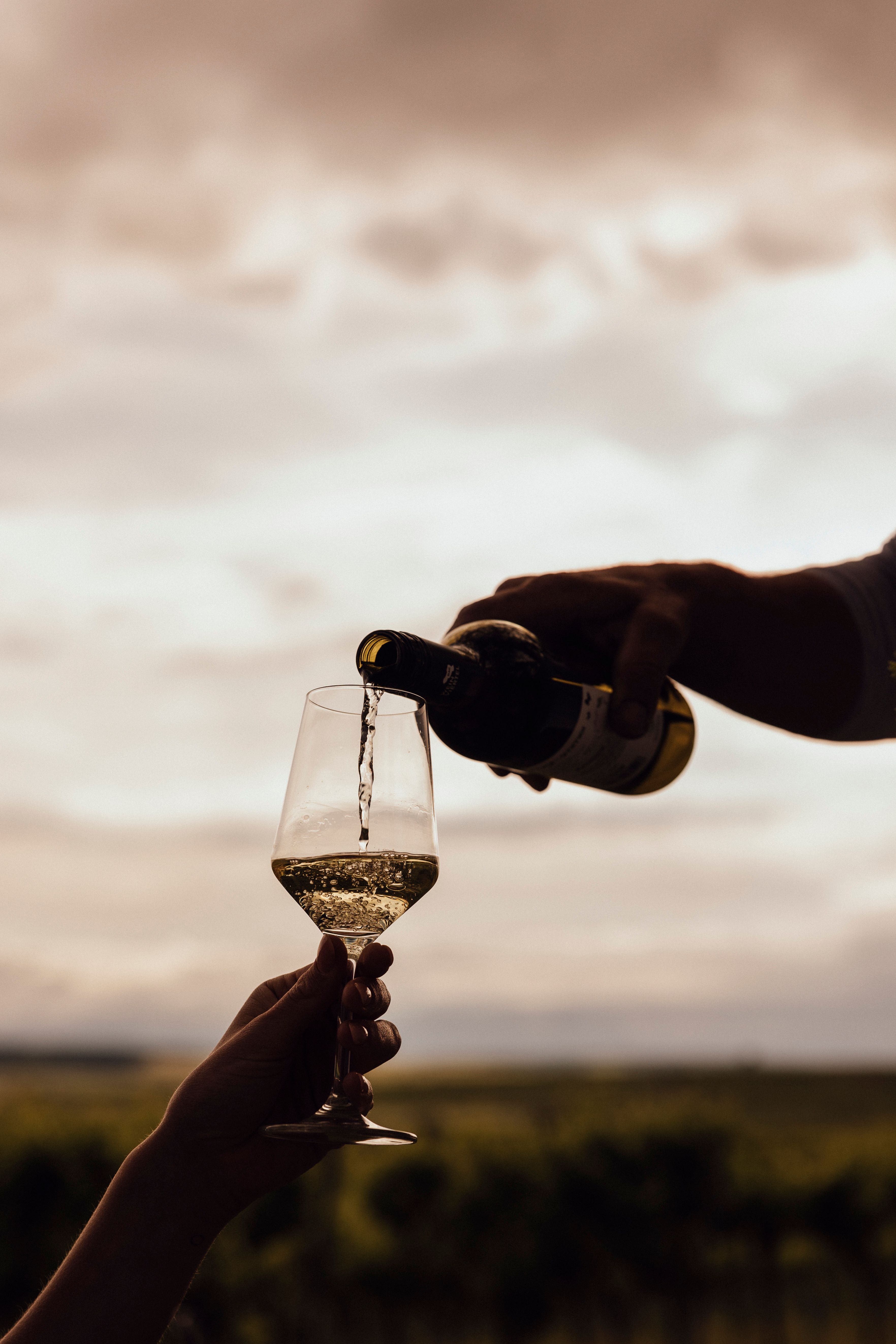 Wine is poured into a glass outdoors, with a landscape in the background.