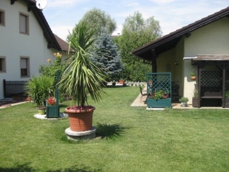 Well-kept garden with lawn, potted plants and two houses.