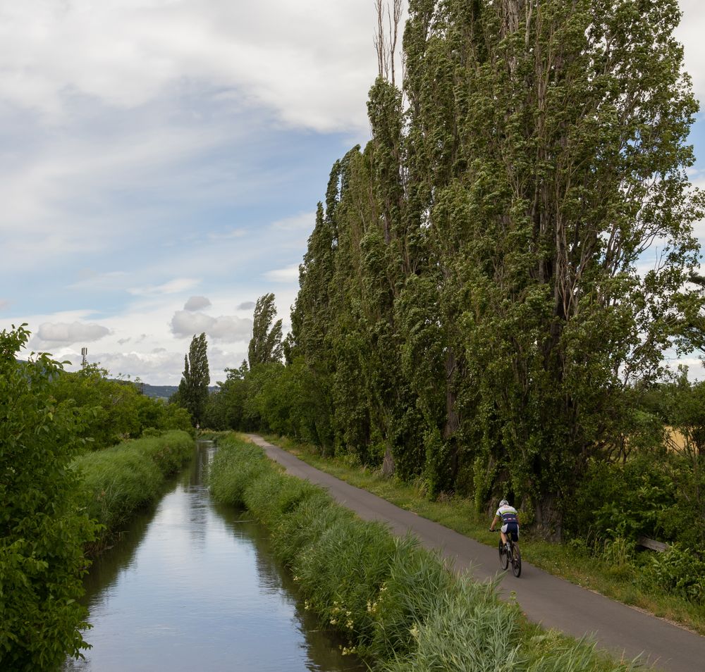 Ein malerischer Radweg schlängelt sich entlang des ruhigen Wassers, umgeben von hohen Pappeln, die sanft im Wind wiegen. Die grüne Landschaft lädt dazu ein, die frische Luft zu genießen und die Schönheit der Natur zu erleben. Hier, wo der Wiener Neustädter Kanal fließt, wird jeder Moment zu einem unvergesslichen Erlebnis.