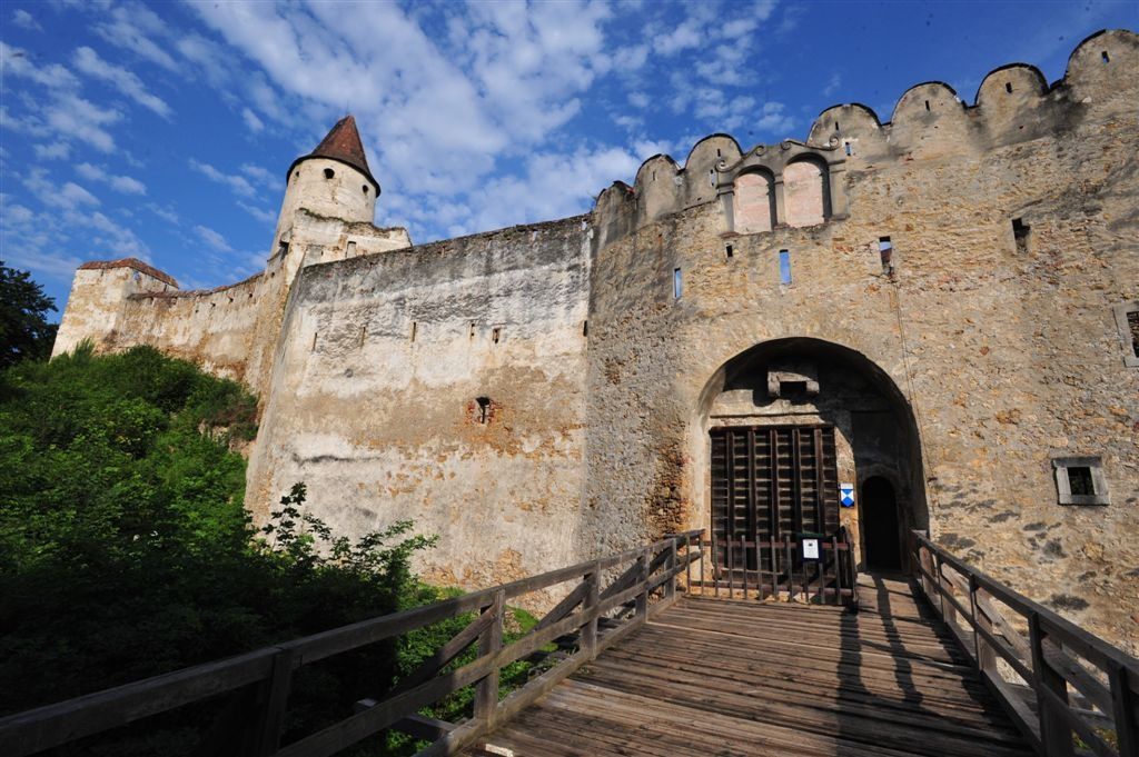 Entrance gate of an old castle with wooden gate and battlements, surrounded by green vegetation and blue sky.