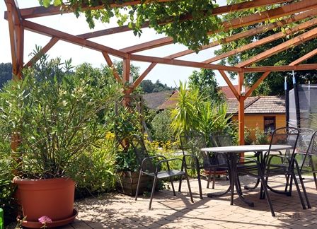 Terrace with vine arbor, table and chairs, surrounded by plants.