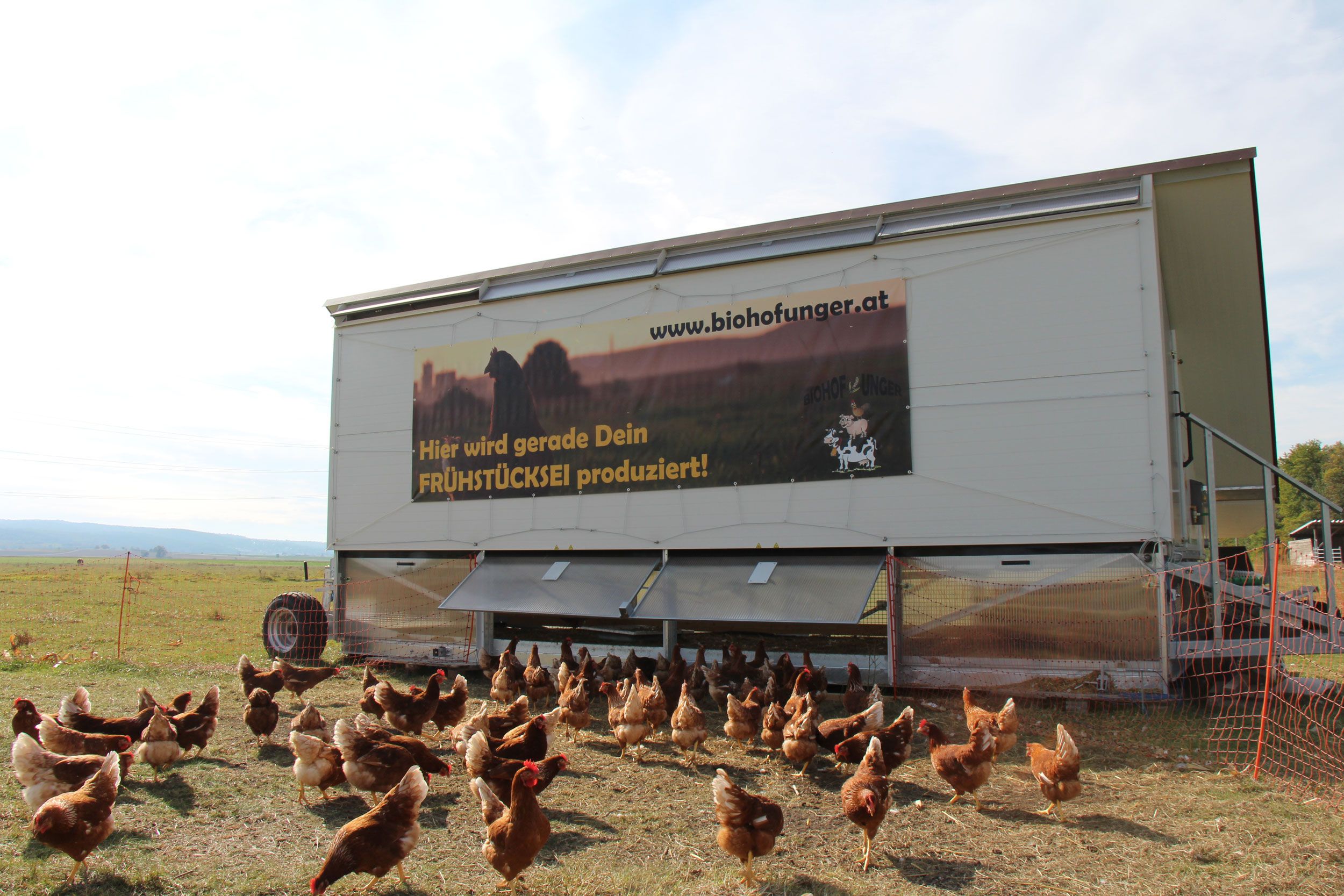 Chickens on a meadow in front of a mobile chicken coop with an advertising banner.