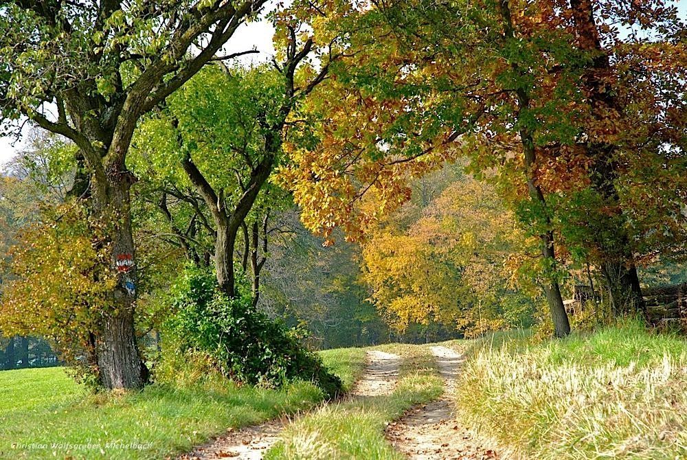 Field path to Oberpirath