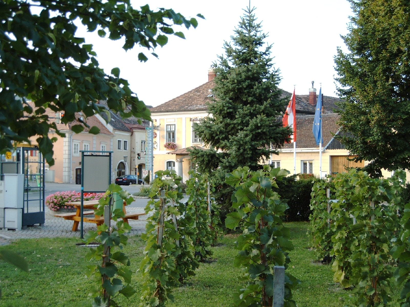 Main square in Pfaffstätten with town hall, vines and flags.