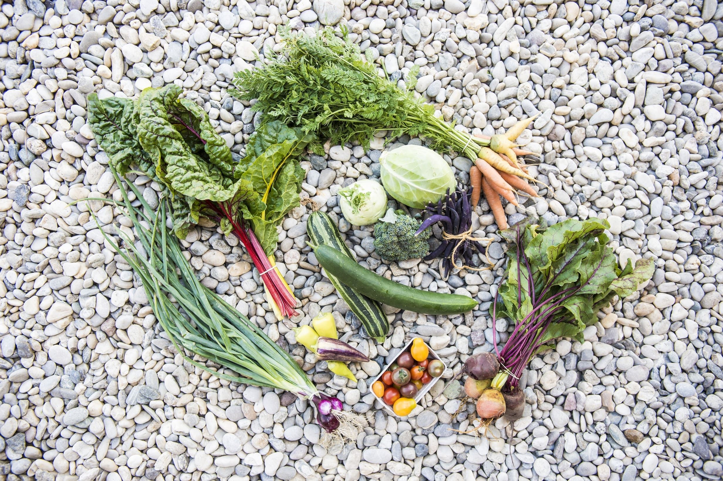 Various vegetables arranged on pebbles.