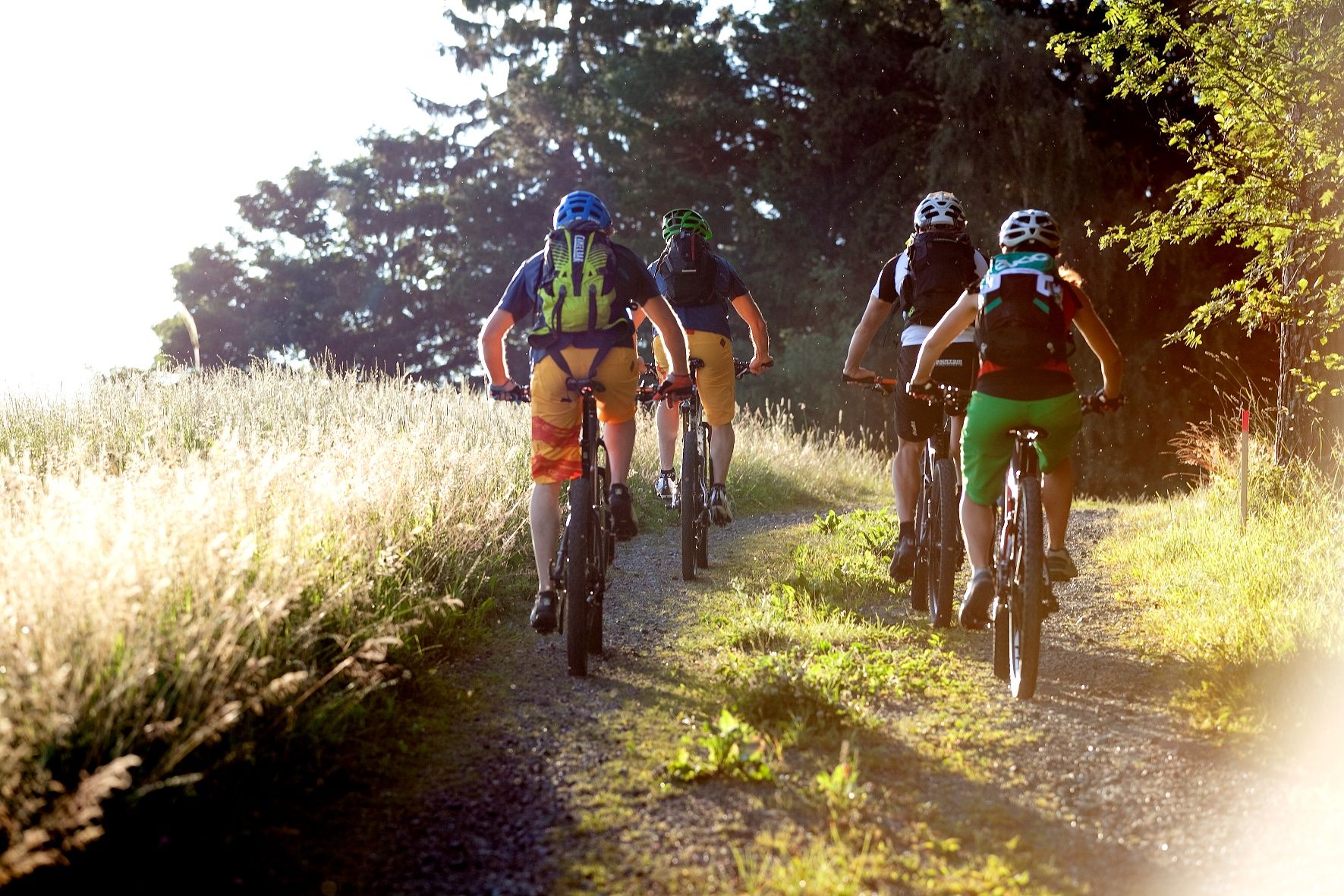 Mountain biking in the Vienna Alps