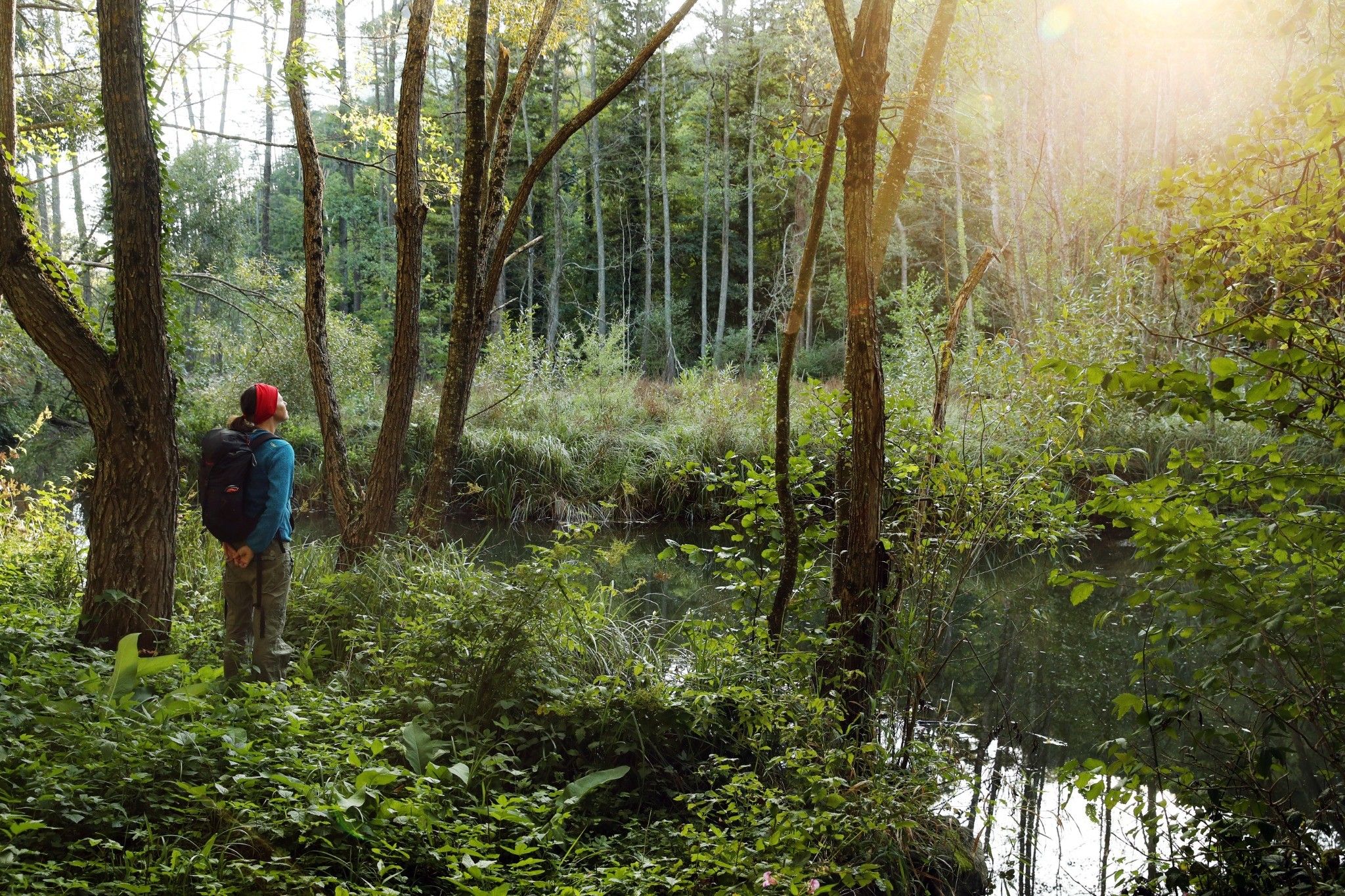 A person with a red cap and rucksack stands in a forest and looks out over a small pond. Sunlight is shining through the trees.