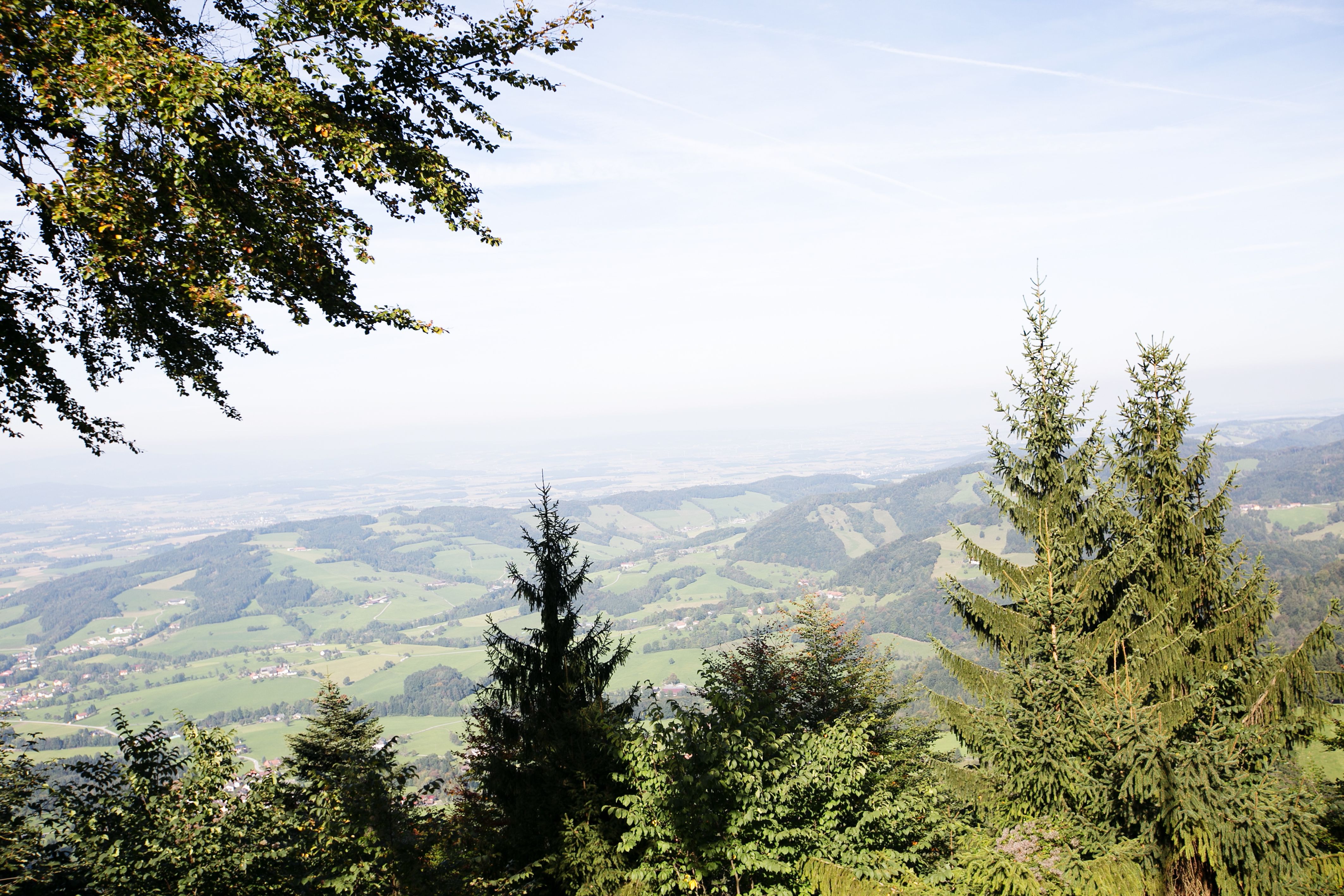 Panoramic view from the Grüntalkogelhütte of a green hilly landscape with trees in the foreground.