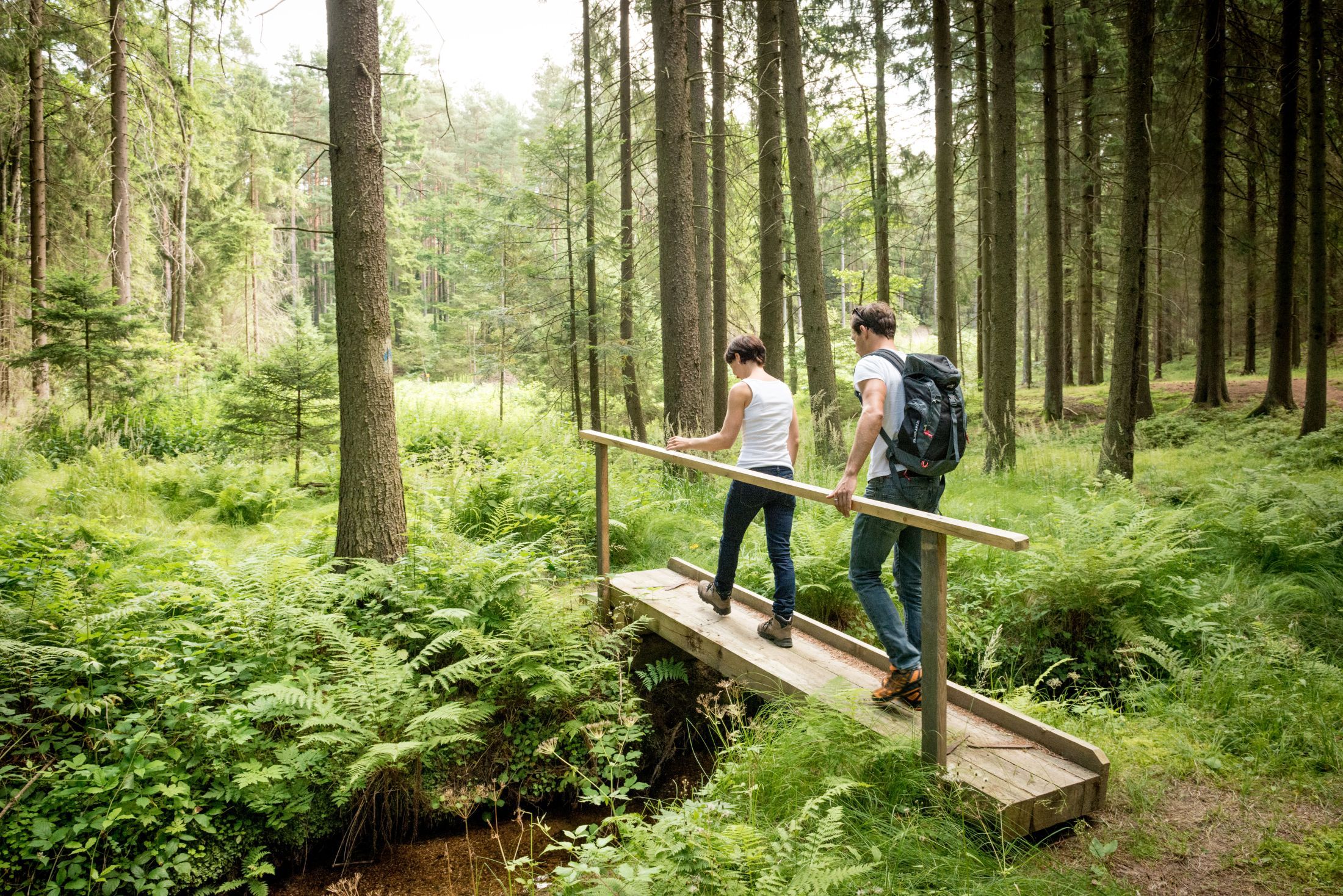 Two people are walking over a small wooden bridge in a dense forest.