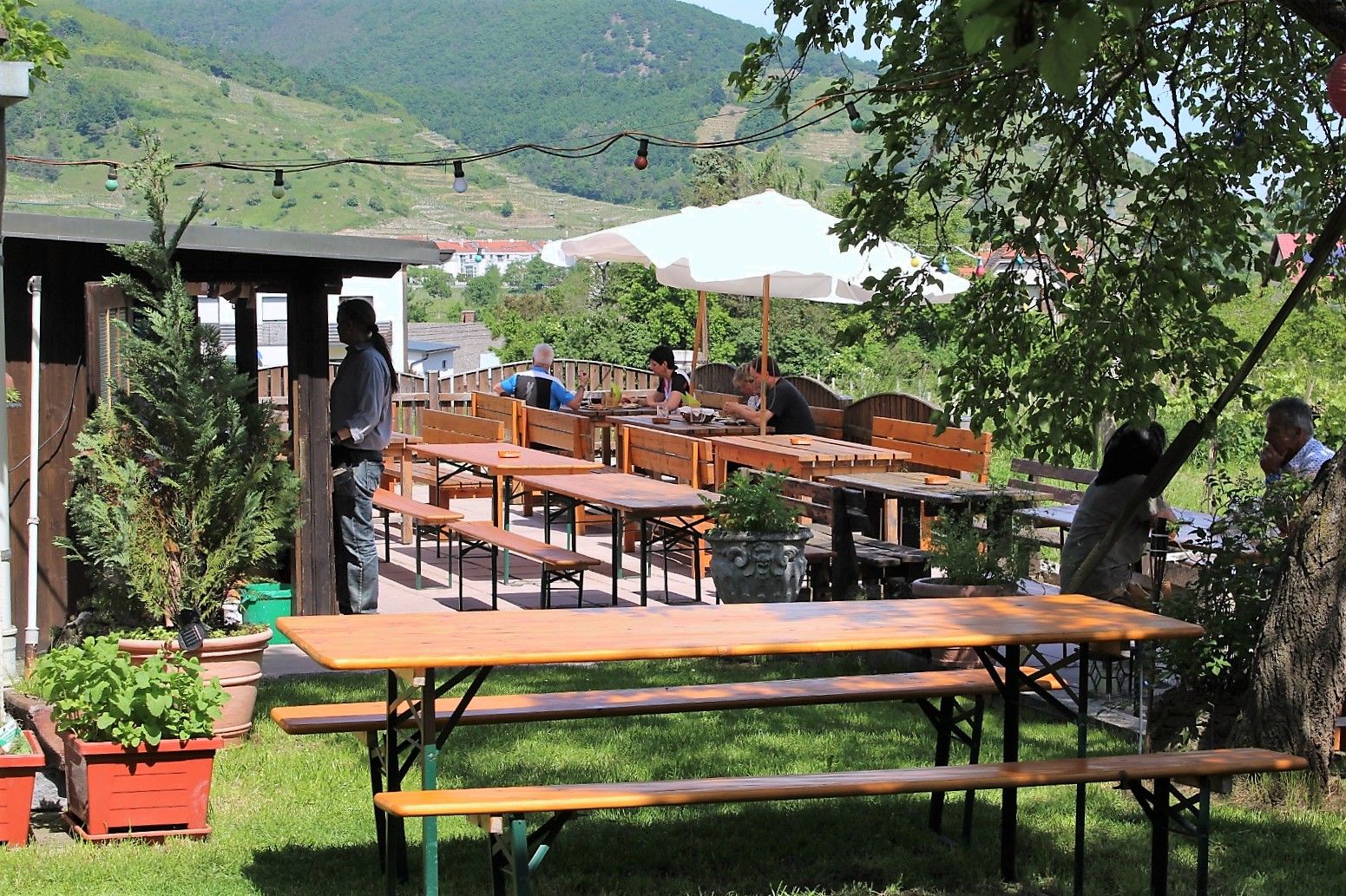 Wine tavern Rinner