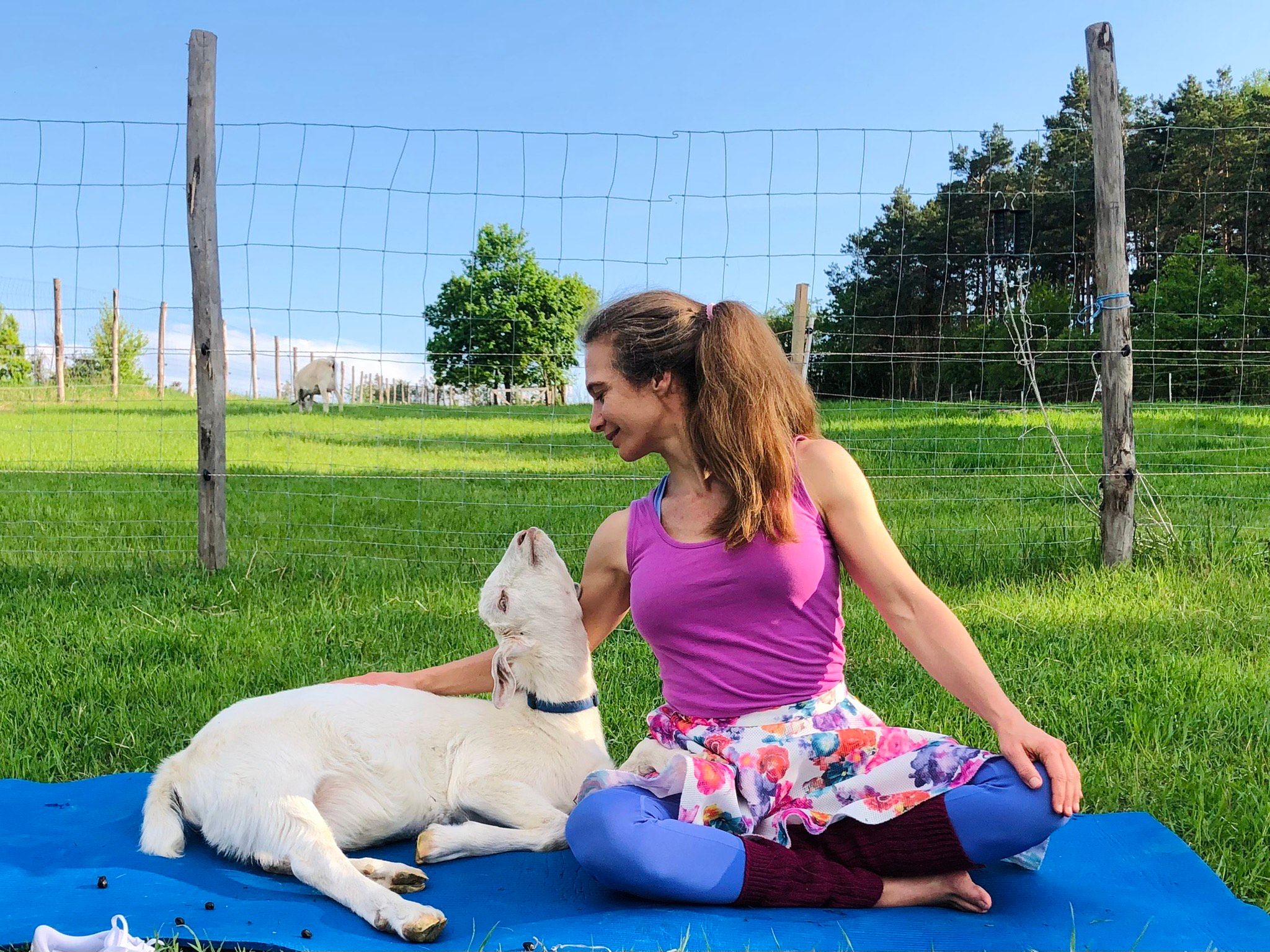 Woman in colorful clothes sits in a meadow next to a goat.