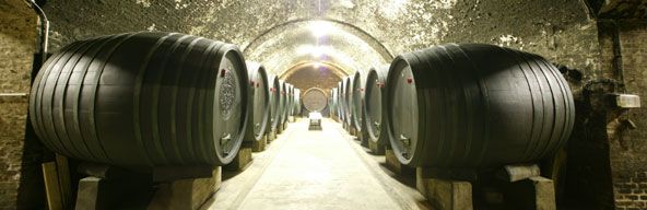 A wine cellar with large wooden barrels on both sides of an illuminated corridor.