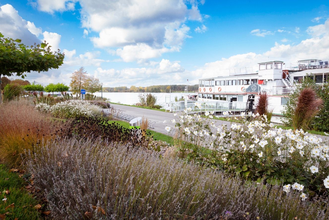 Tulln Danube area