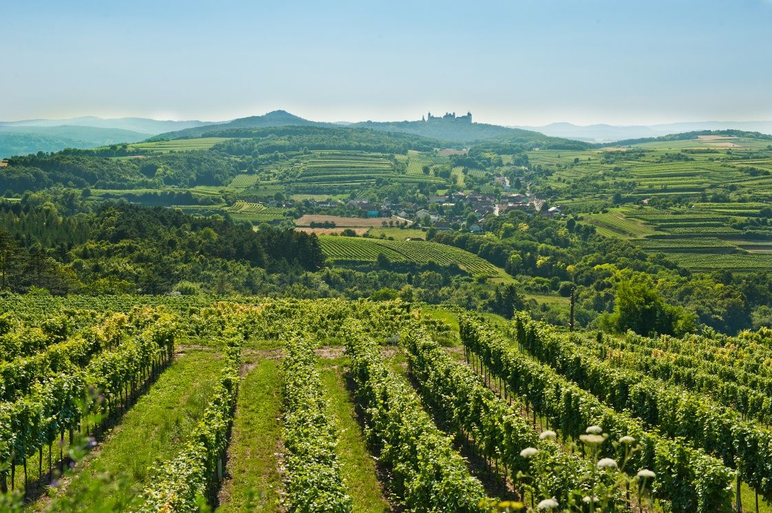 View of Göttweig Abbey from the vineyards in Krustetten