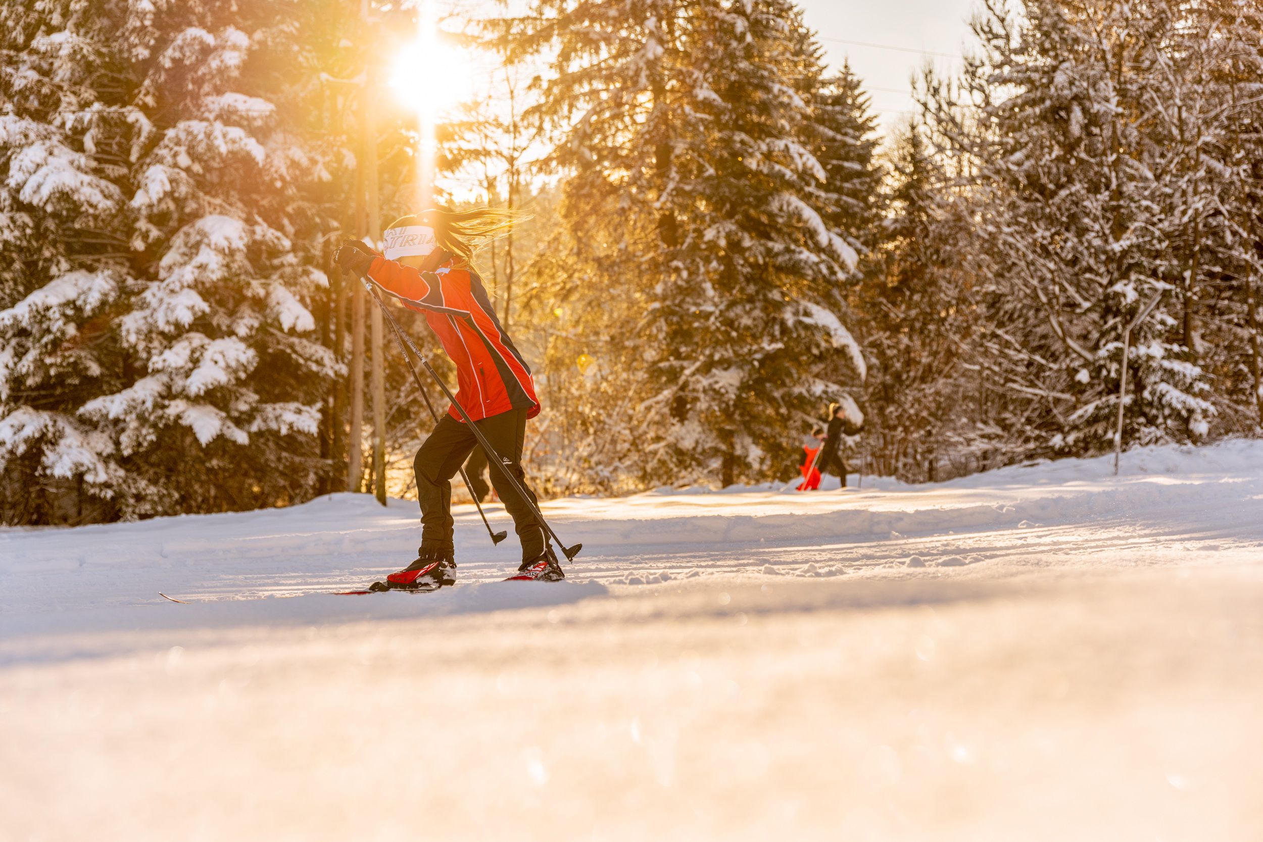 Cross-country skiers on a snow-covered trail at sunset.