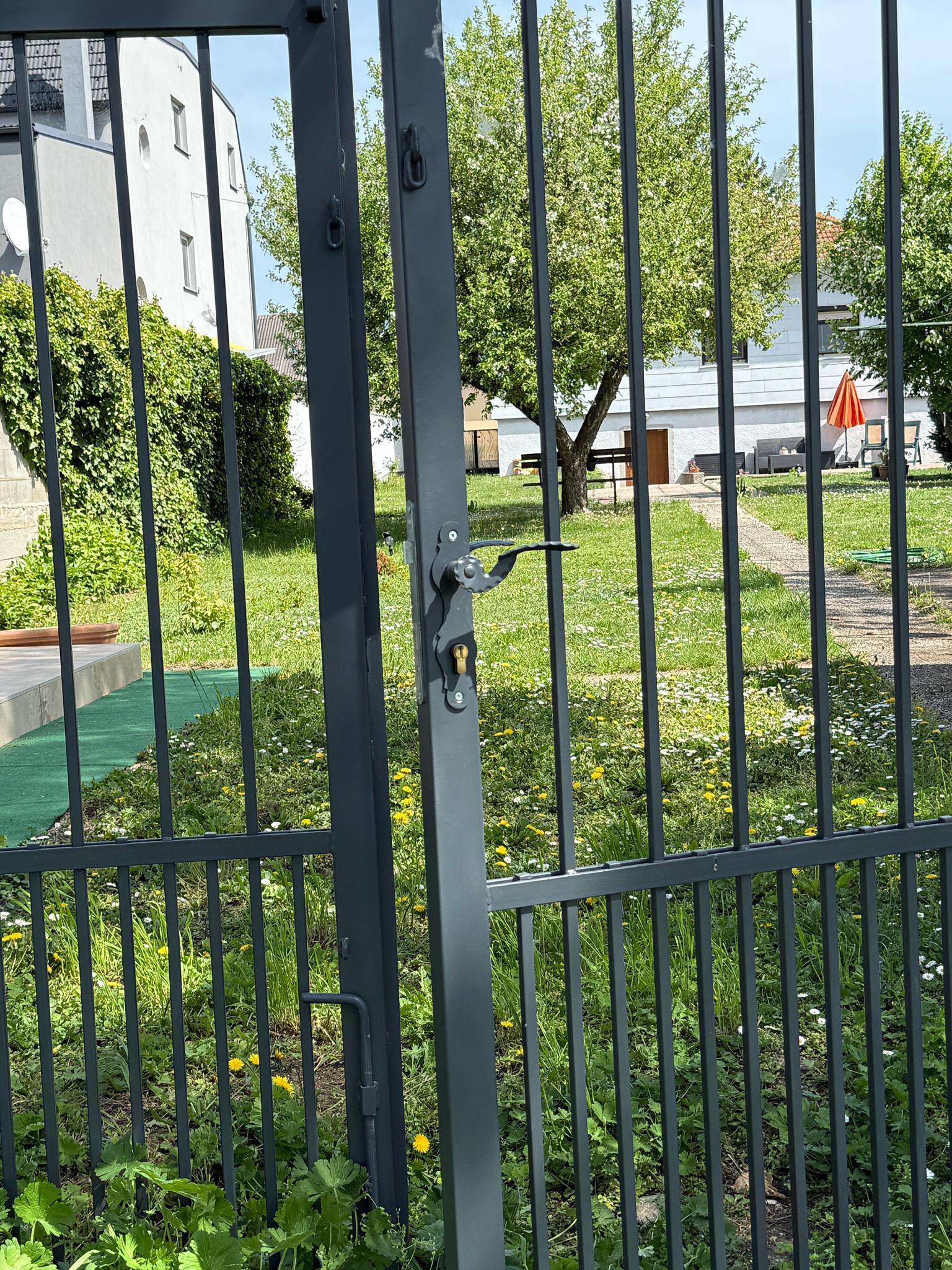 A garden with a metal gate in the foreground, behind it a tree and a house with a red parasol.