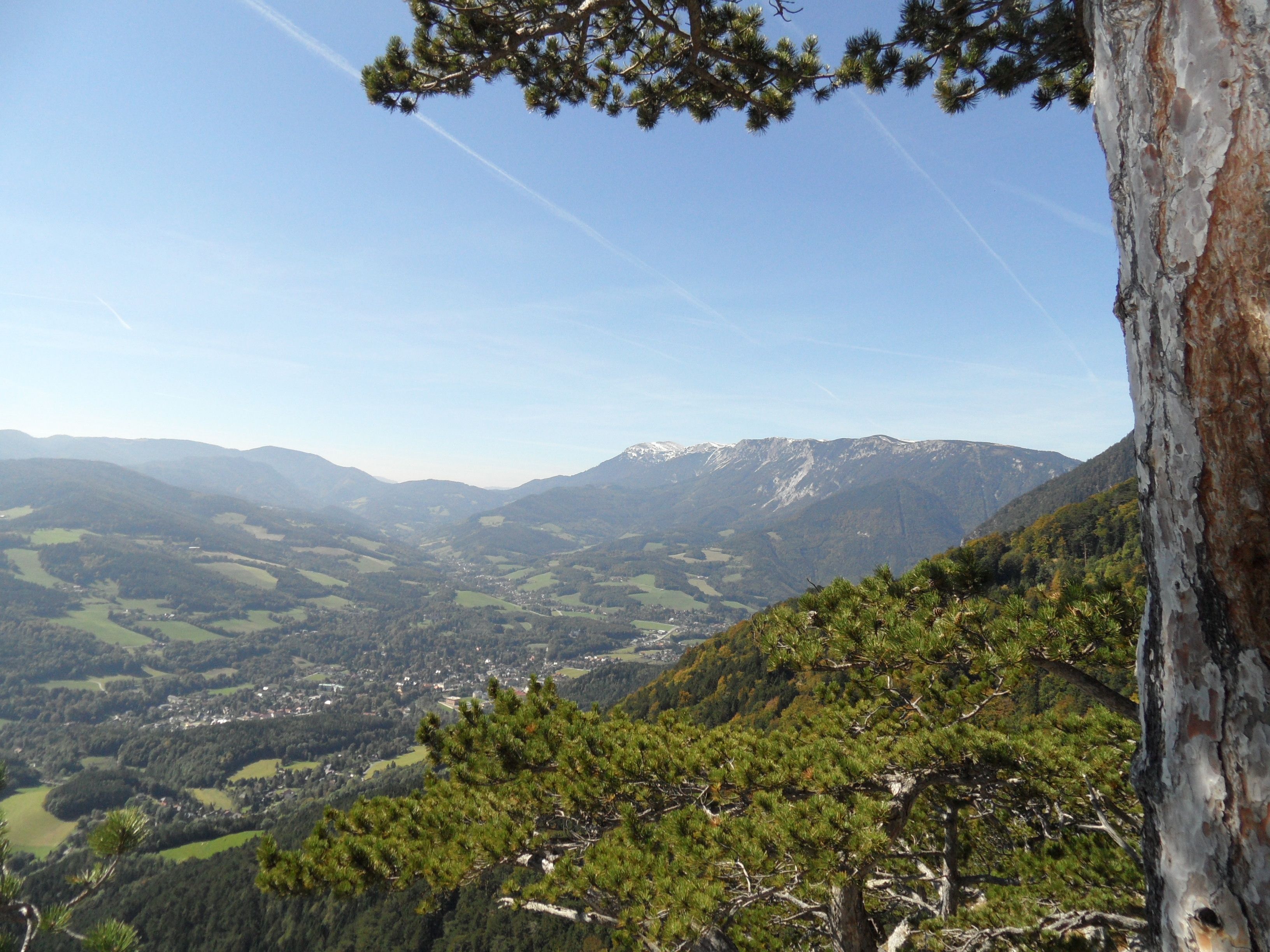 View of the upper Schwarzatal valley with mountains and trees in the foreground.