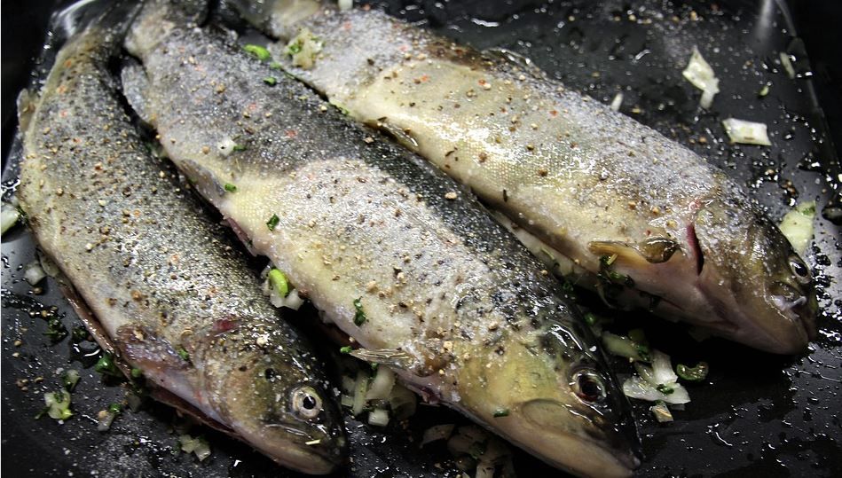 Trout