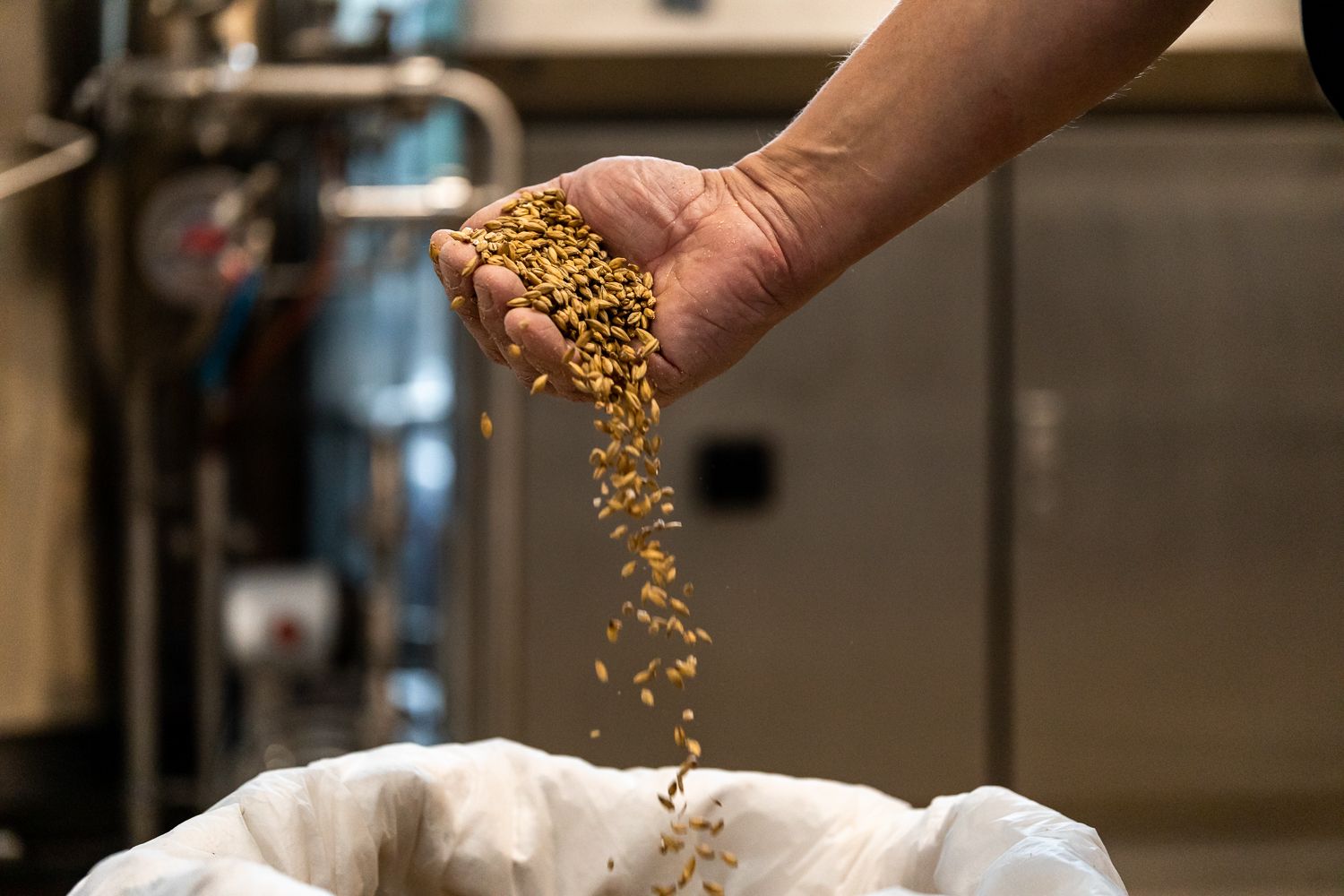 Hand scatters grain into a sack in a brewery.