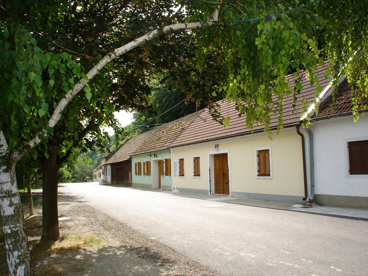 A quiet street with traditional houses and trees in the Ahrenberger-Eichberger wine cellar lane.