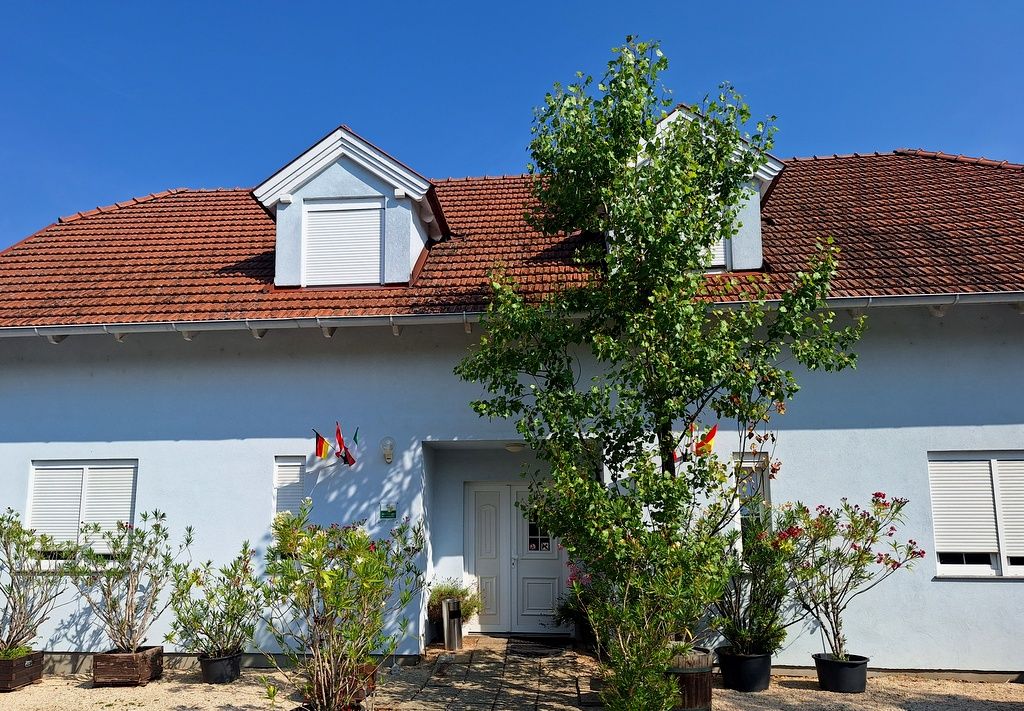 A light blue house with a red roof and plants in the foreground.