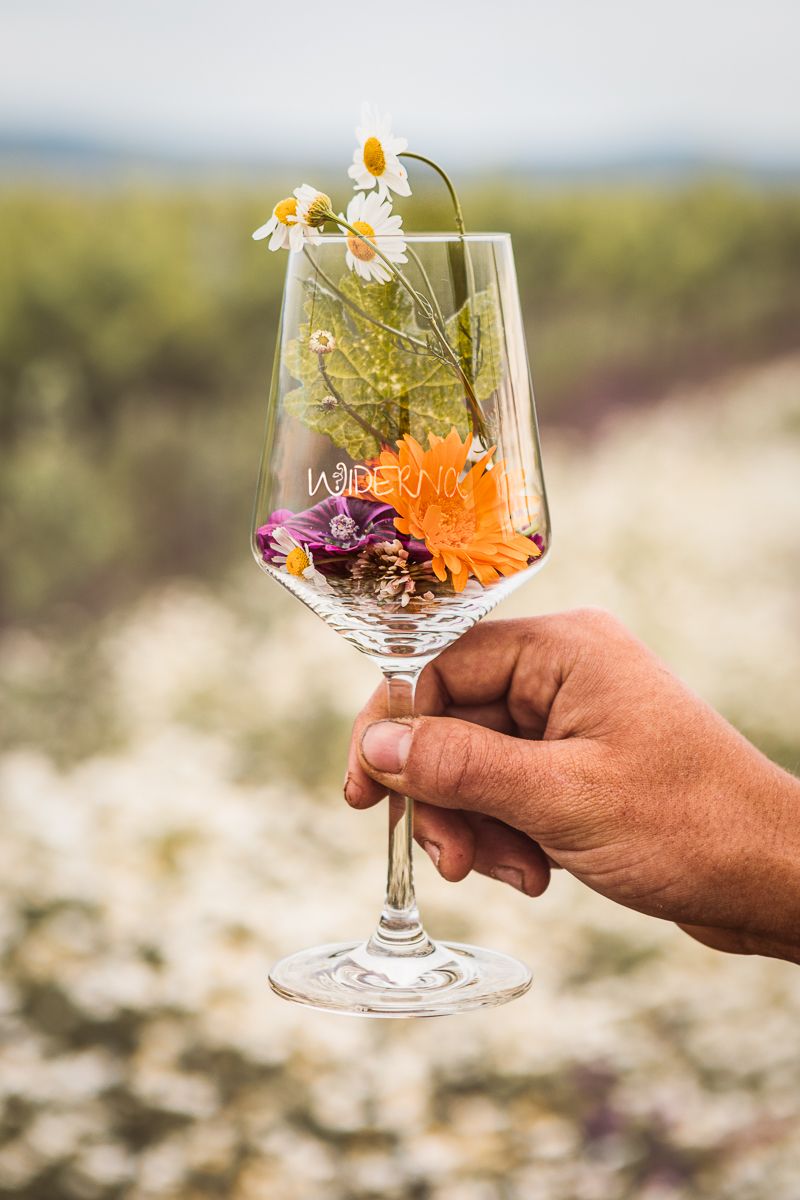 A wine glass with flowers and leaves, held by a hand in front of a blurred background.