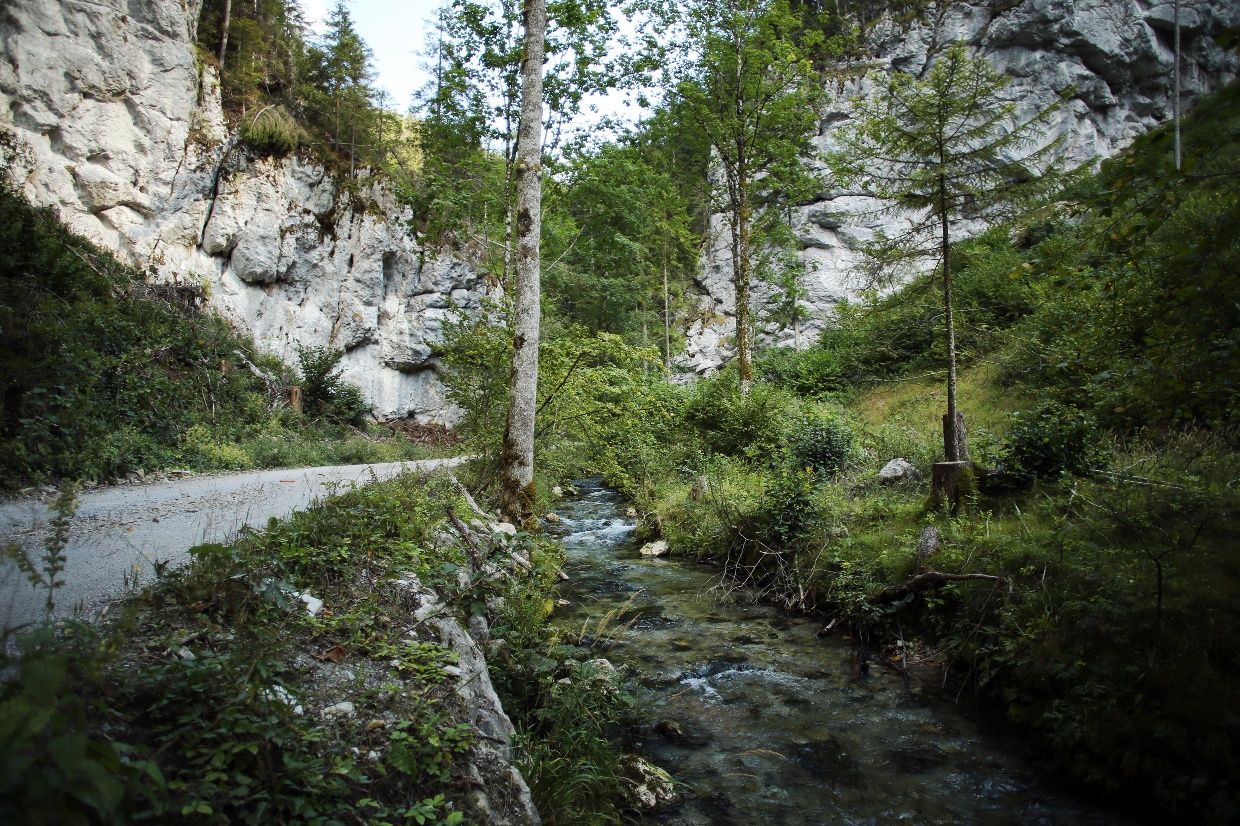 Falcon Gorge Tour