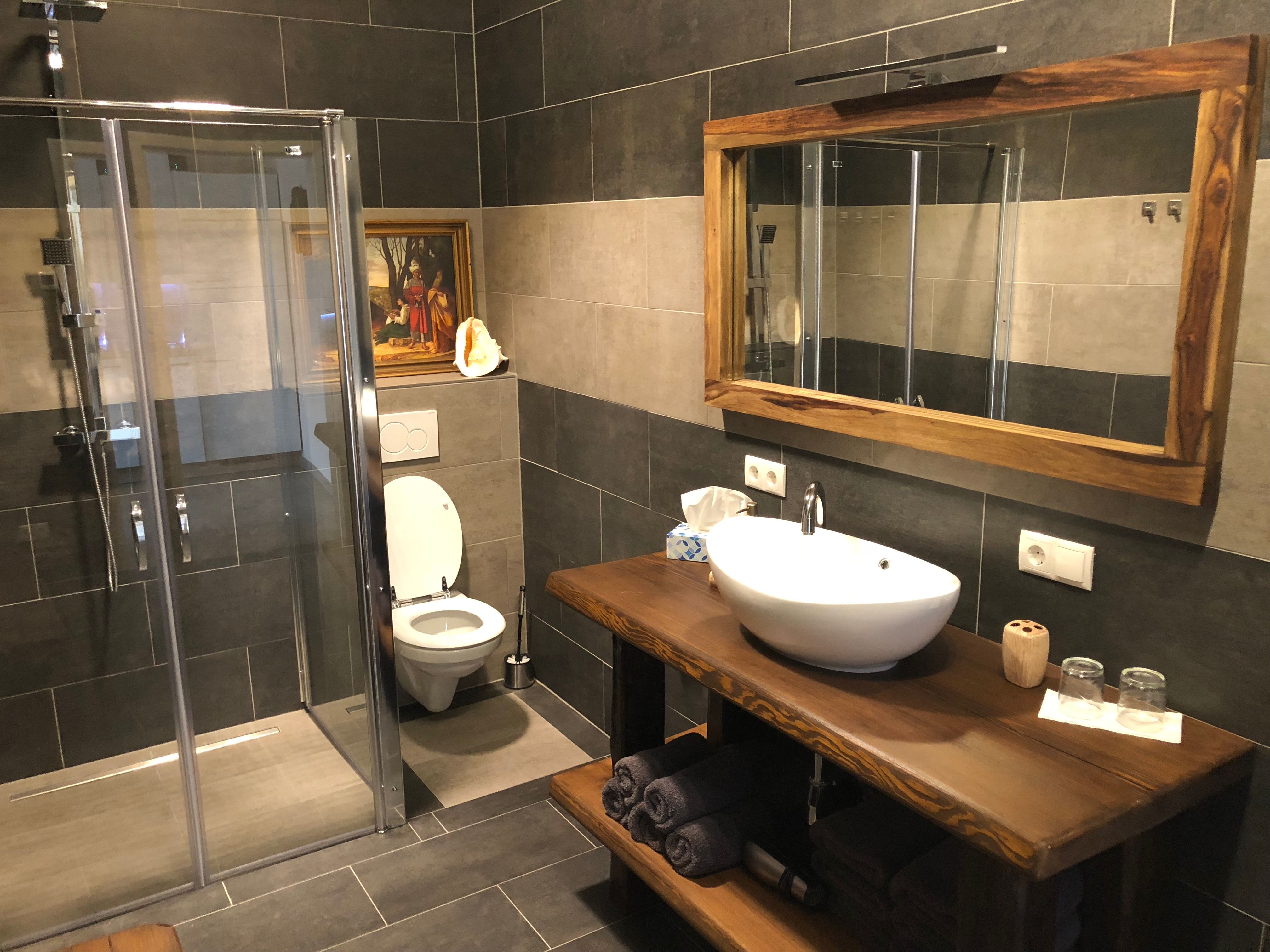 Modern bathroom with shower, toilet and washbasin.