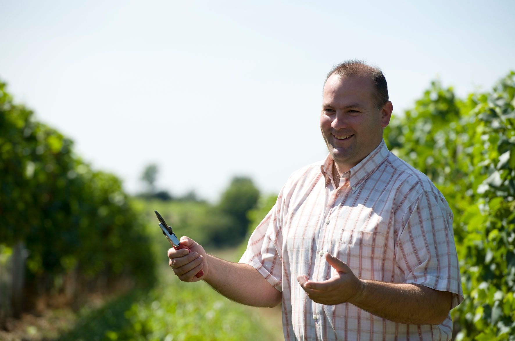 A man in a checked shirt stands smiling in a vineyard holding a pair of pruning shears.